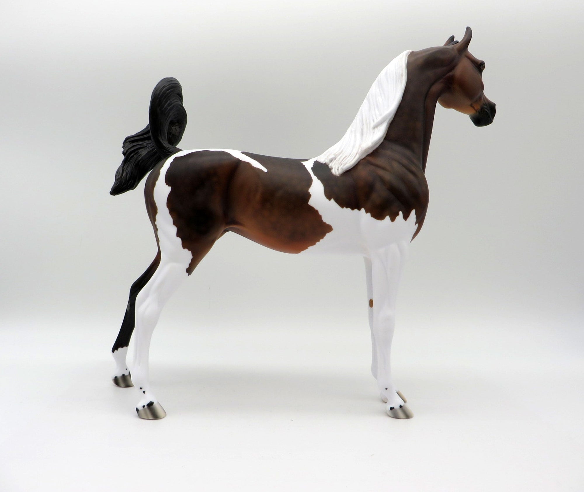 Thankful Heart-LE-4  Dapple Bay Pinto Arabian 5/14/21