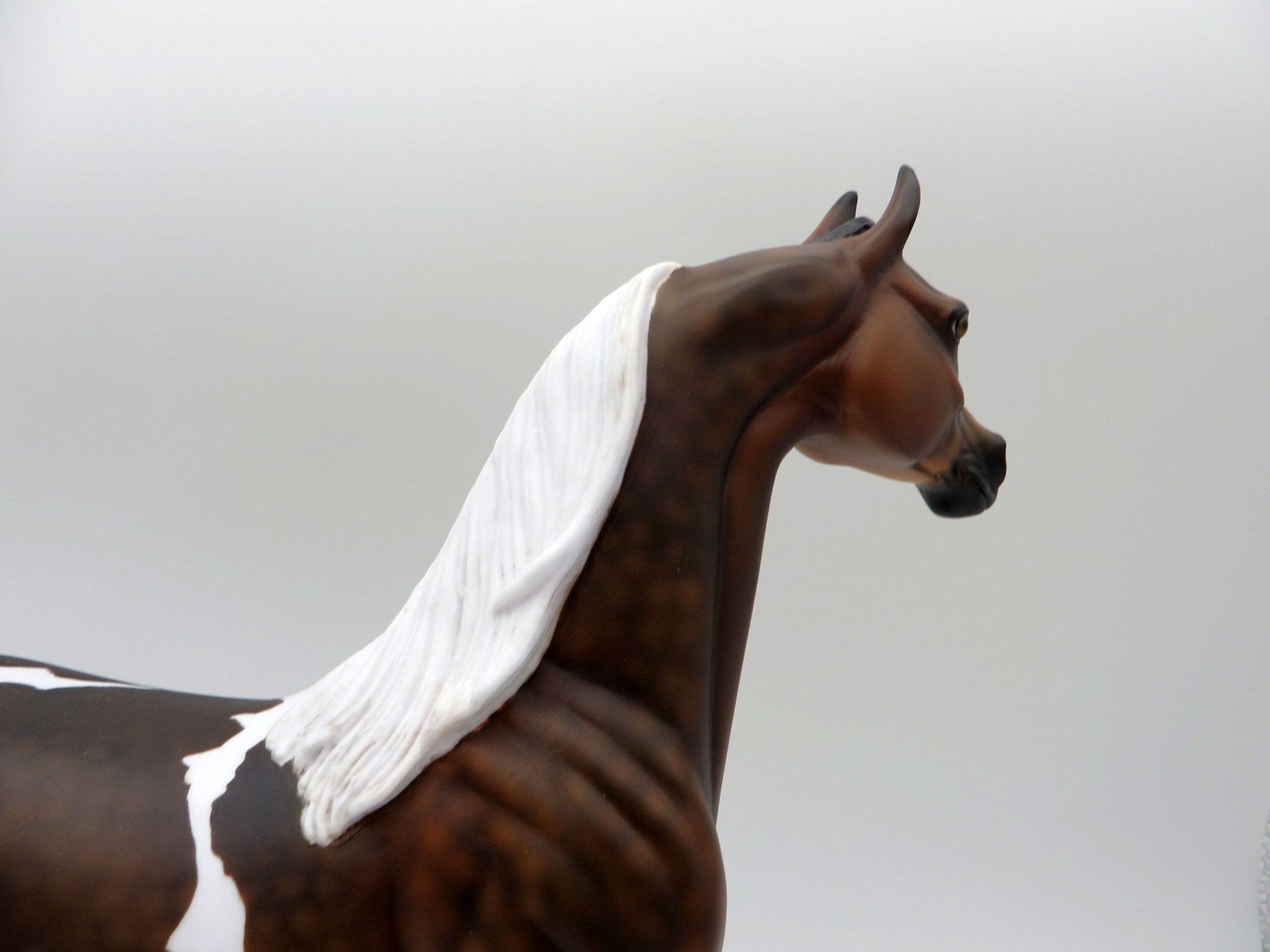 Thankful Heart-LE-4  Dapple Bay Pinto Arabian 5/14/21