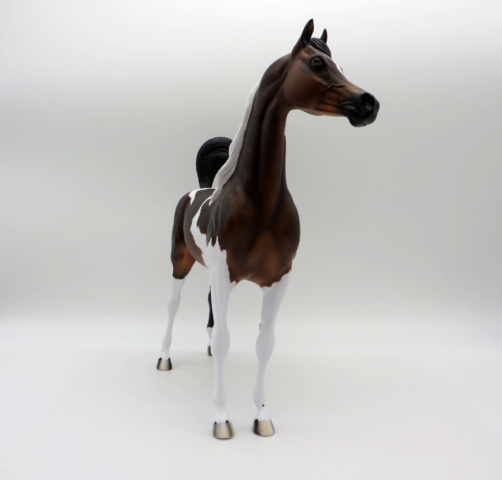 Thankful Heart-LE-4  Dapple Bay Pinto Arabian 5/14/21