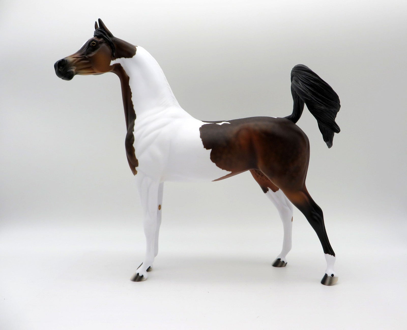 Thankful Heart-LE-4  Dapple Bay Pinto Arabian 5/14/21