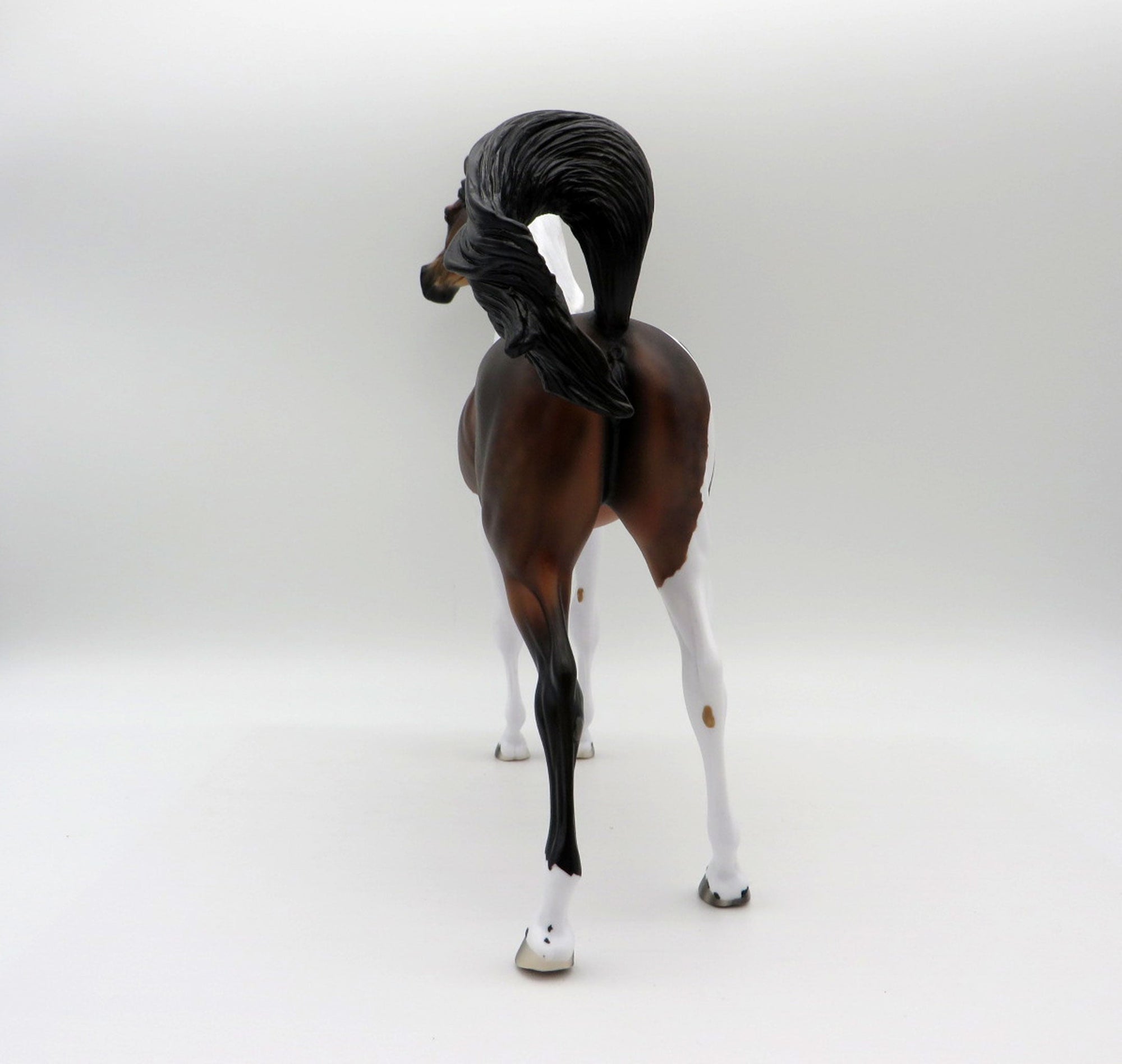 Thankful Heart-LE-4  Dapple Bay Pinto Arabian 5/14/21