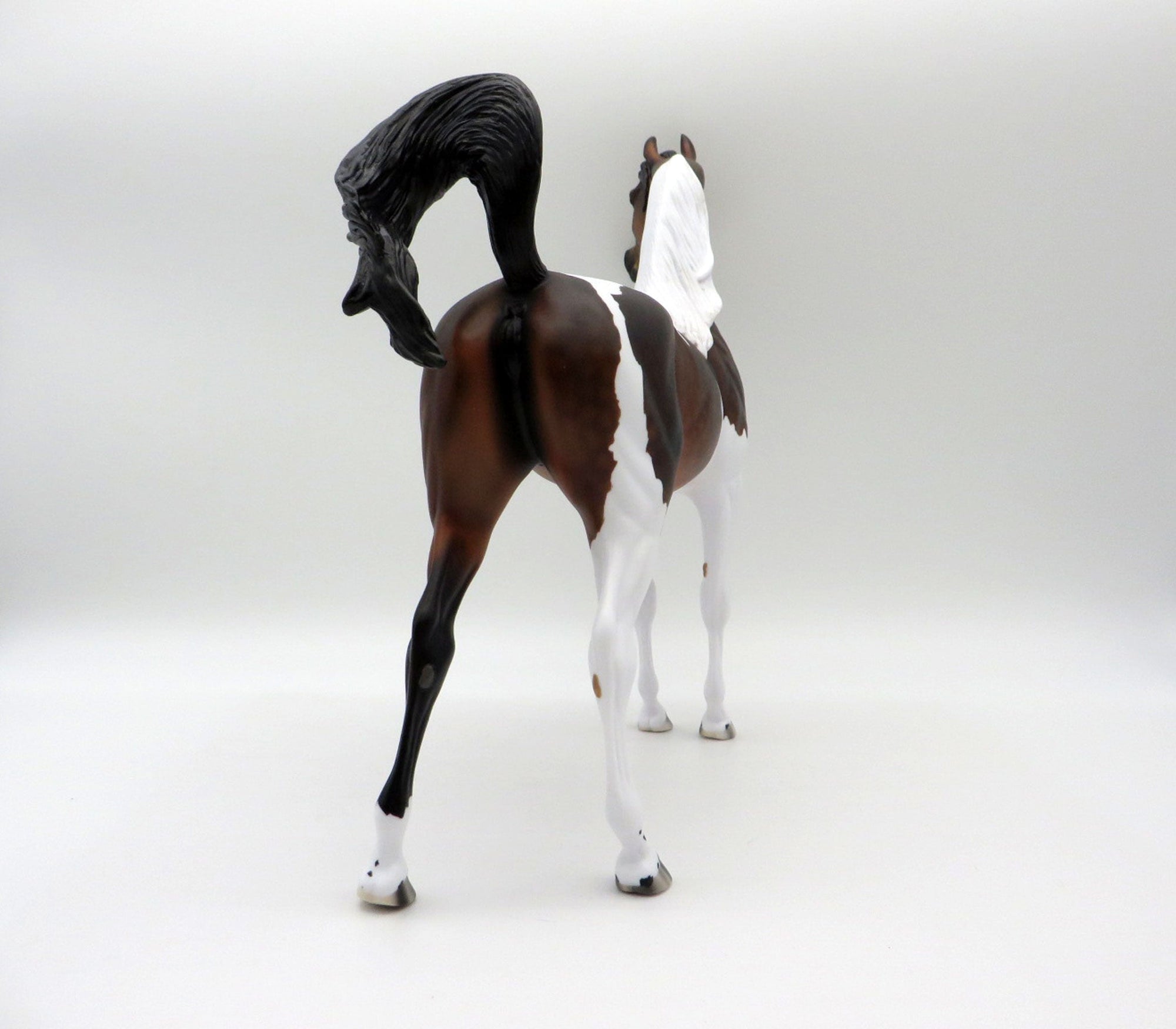 Thankful Heart-LE-4  Dapple Bay Pinto Arabian 5/14/21