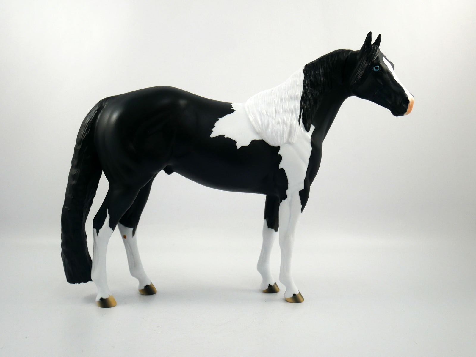 The Ref-LE-12 BLACK PINTO ISH SB21