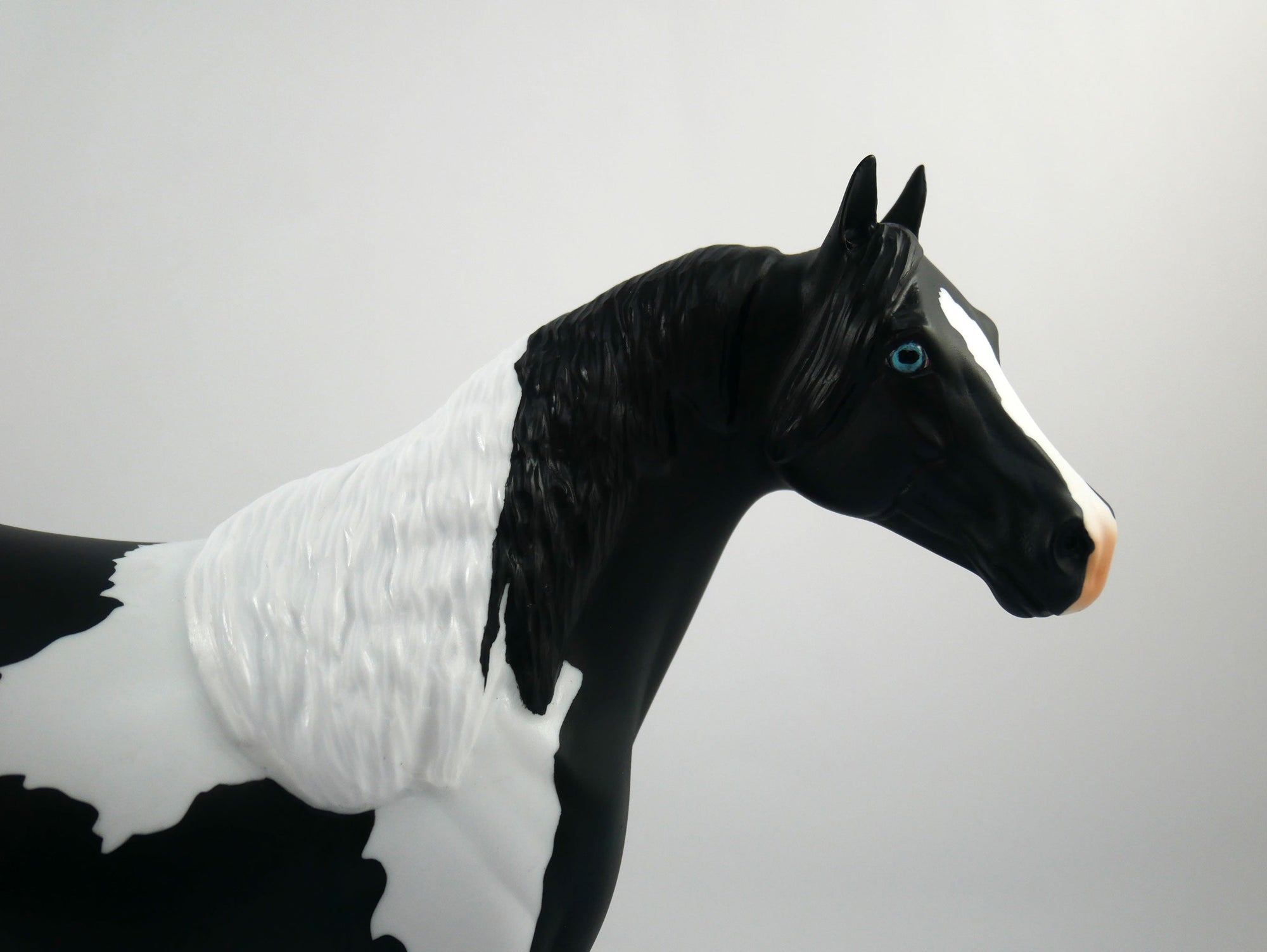 The Ref-LE-12 BLACK PINTO ISH SB21