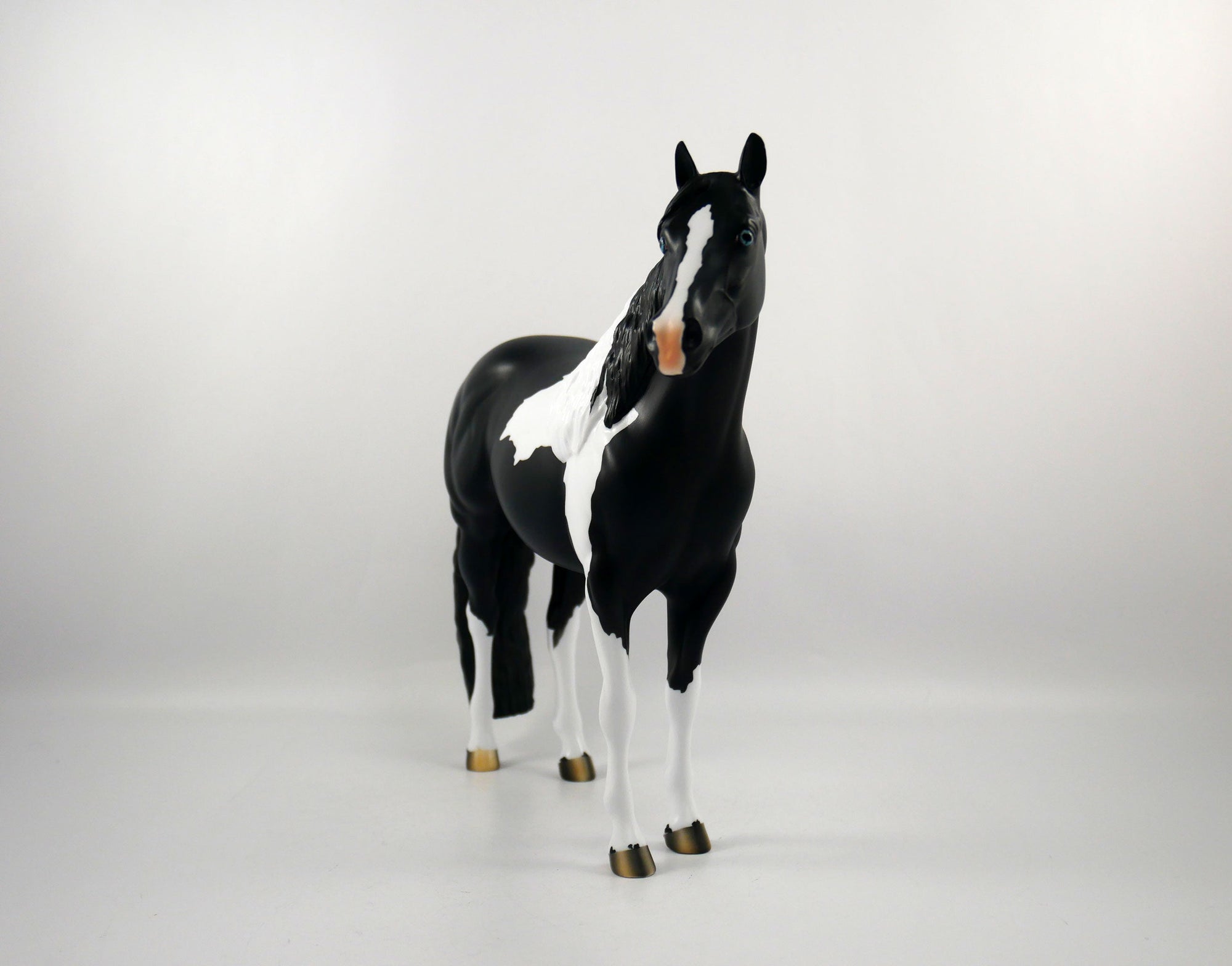 The Ref-LE-12 BLACK PINTO ISH SB21