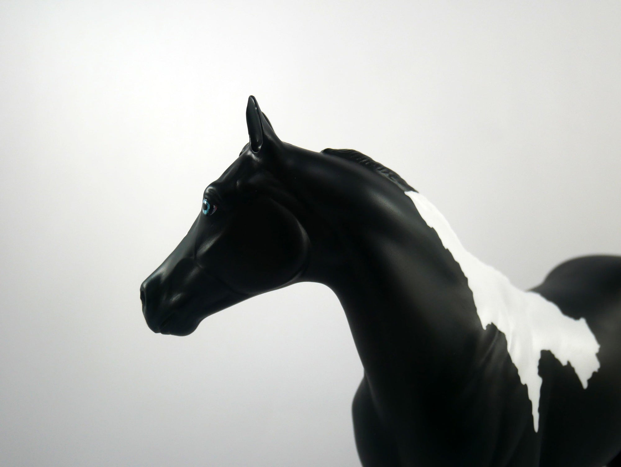 The Ref-LE-12 BLACK PINTO ISH SB21