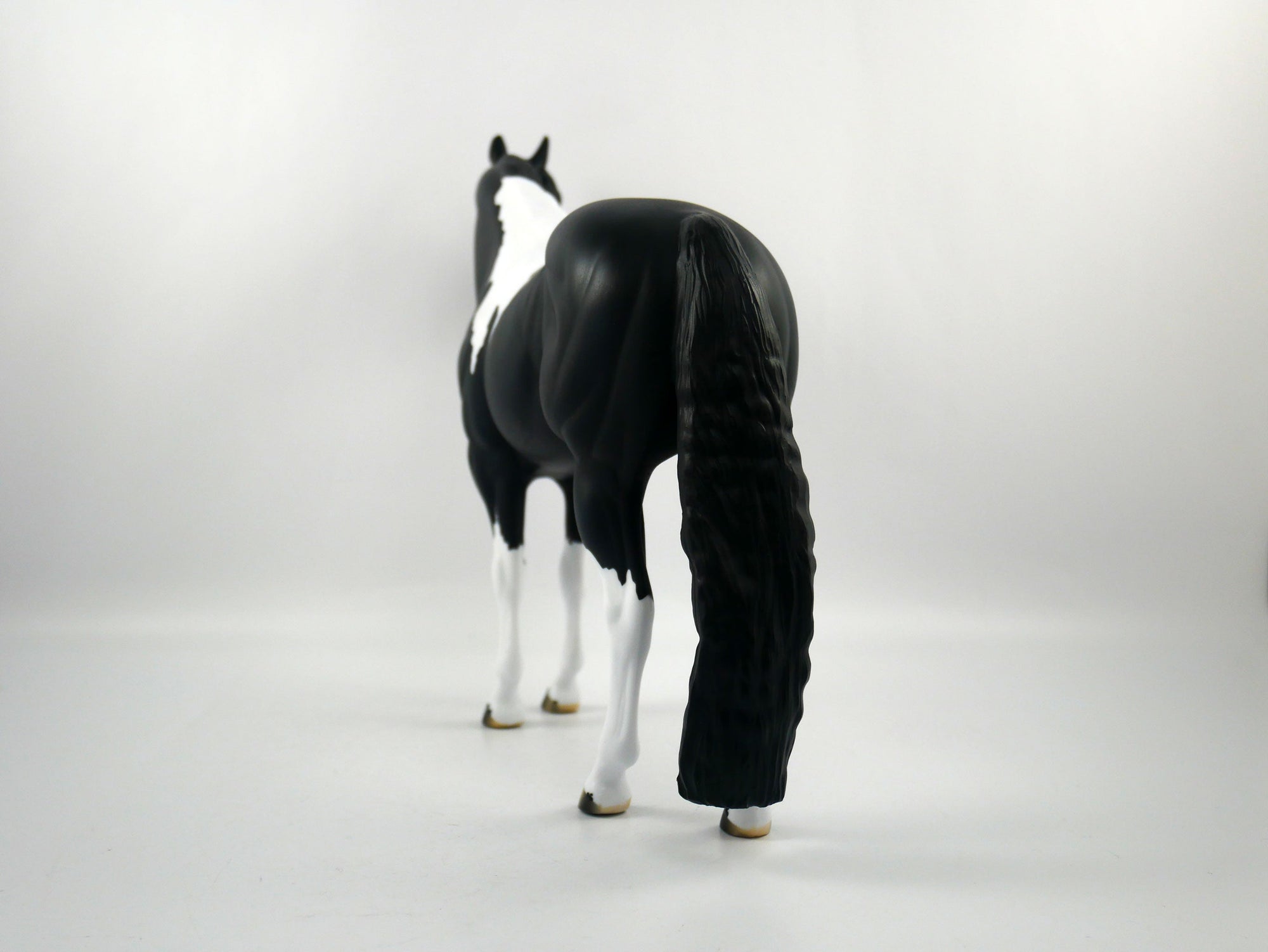 The Ref-LE-12 BLACK PINTO ISH SB21