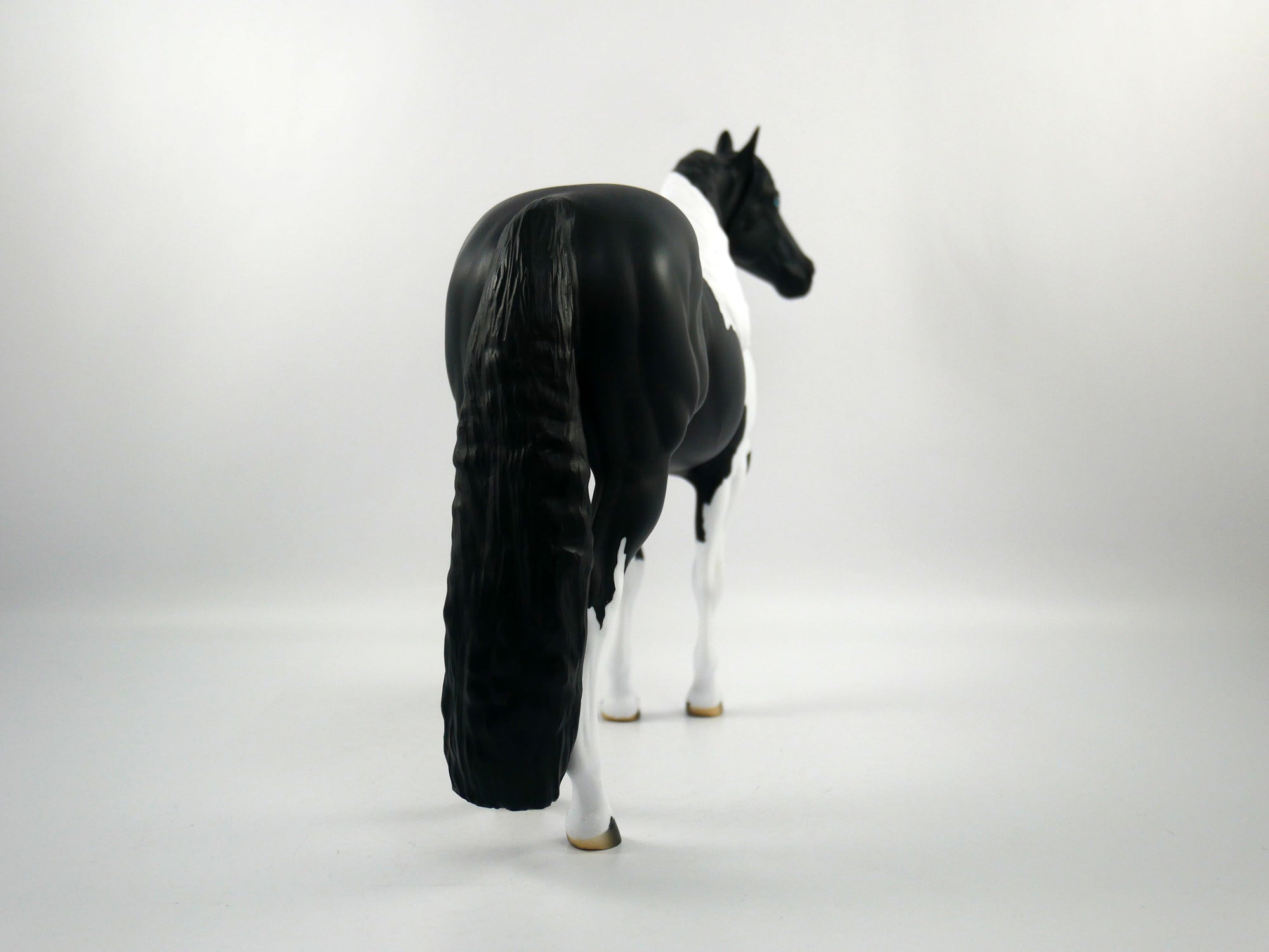 The Ref-LE-12 BLACK PINTO ISH SB21