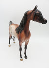 The Gingerbread Man - OOAK - BEST OFFER - Bay Rabicano Arabian Stallion By Jess Hamill - Christmas Tails 2022 - CT22