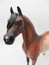 The Gingerbread Man - OOAK - BEST OFFER - Bay Rabicano Arabian Stallion By Jess Hamill - Christmas Tails 2022 - CT22