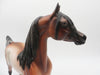 The Gingerbread Man - OOAK - BEST OFFER - Bay Rabicano Arabian Stallion By Jess Hamill - Christmas Tails 2022 - CT22