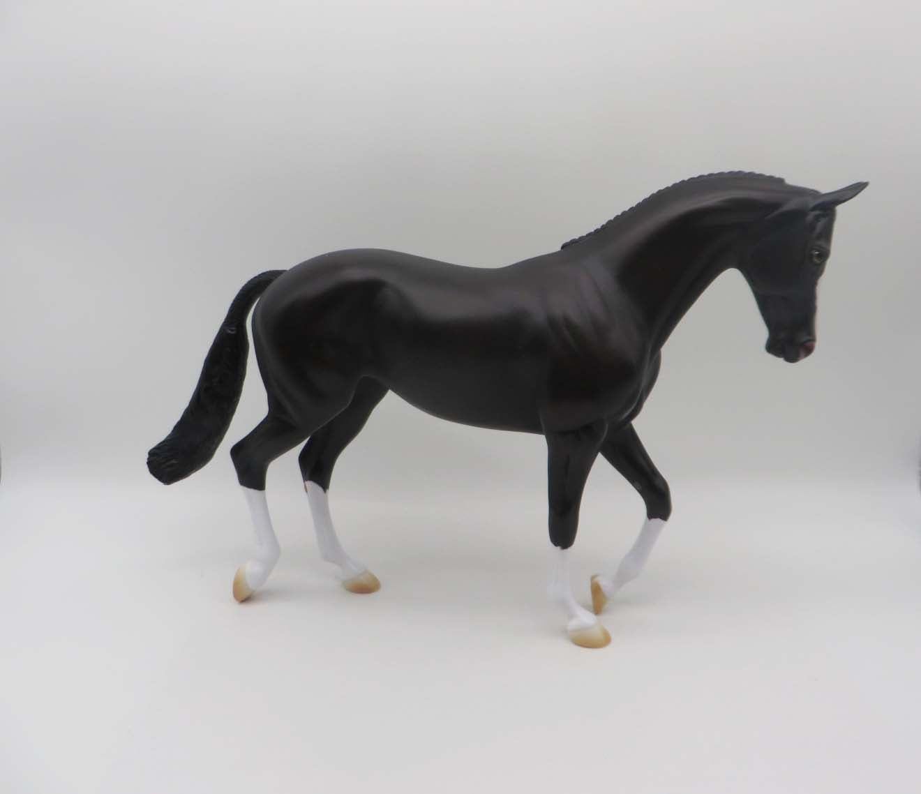 The Unraveling -  Sunburnt Black Thoroughbred By Ashley Palmer - SHCF23