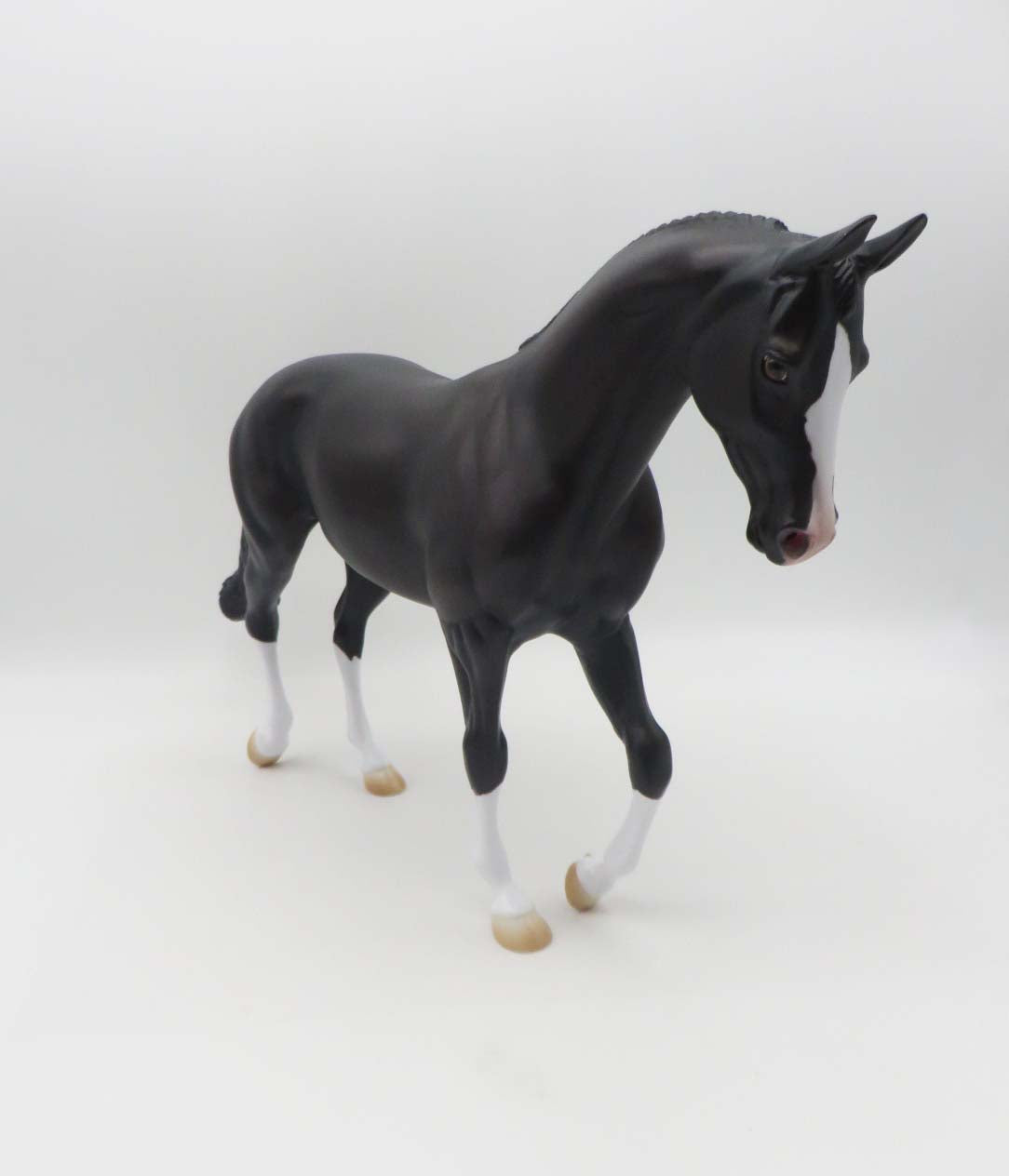 The Unraveling -  Sunburnt Black Thoroughbred By Ashley Palmer - SHCF23