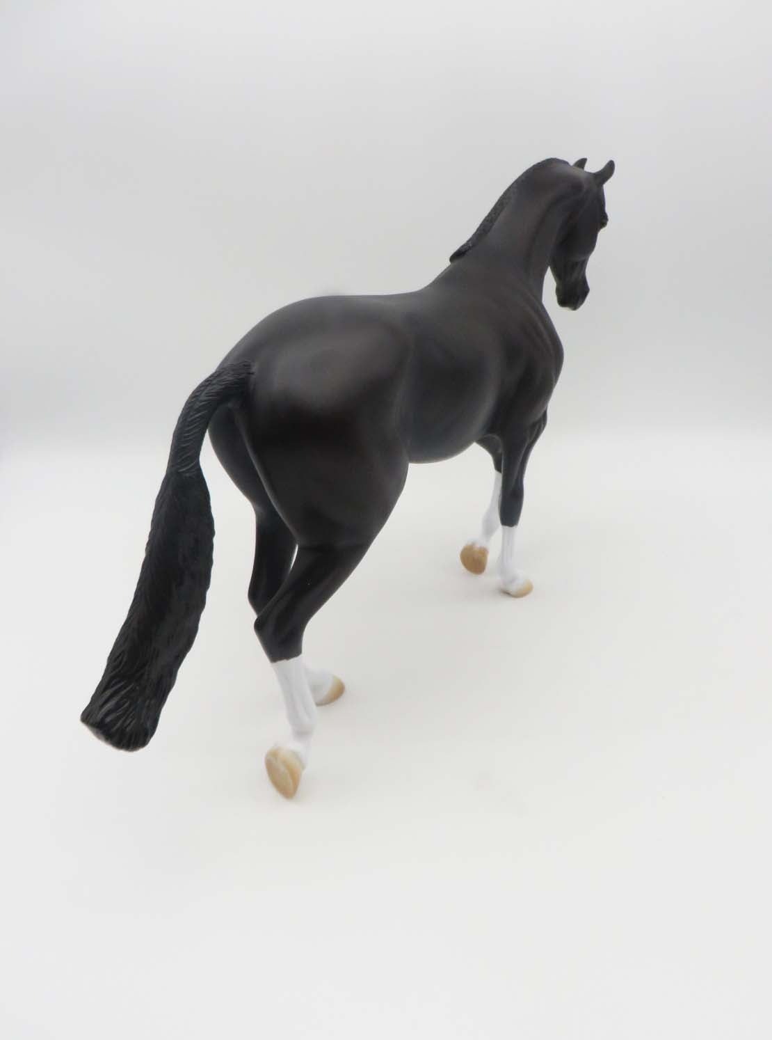 The Unraveling -  Sunburnt Black Thoroughbred By Ashley Palmer - SHCF23
