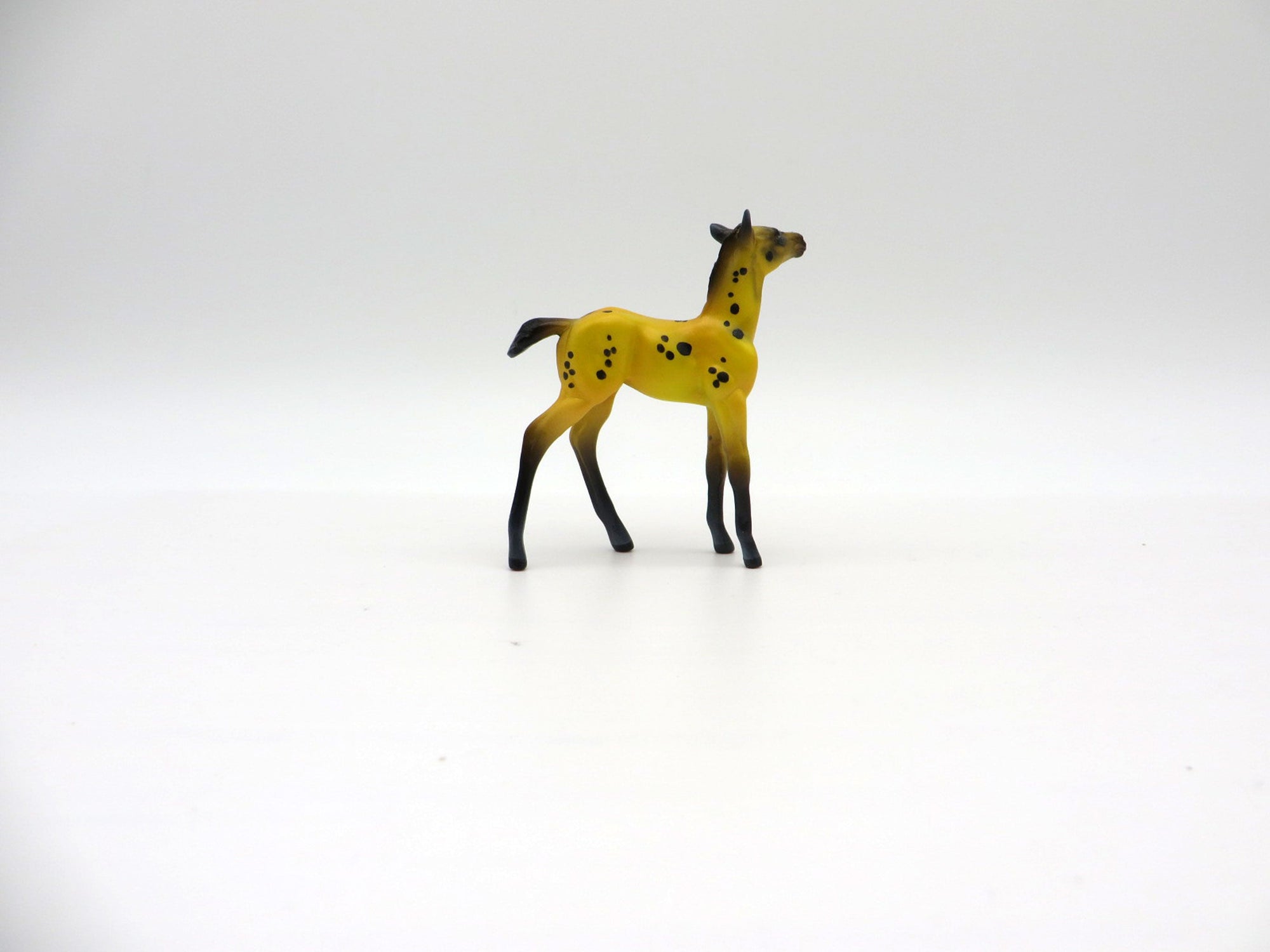 Thecacera-OOAK Foal Chip Deco Sea Slug Painted By Ellen Robbins 7/16/21