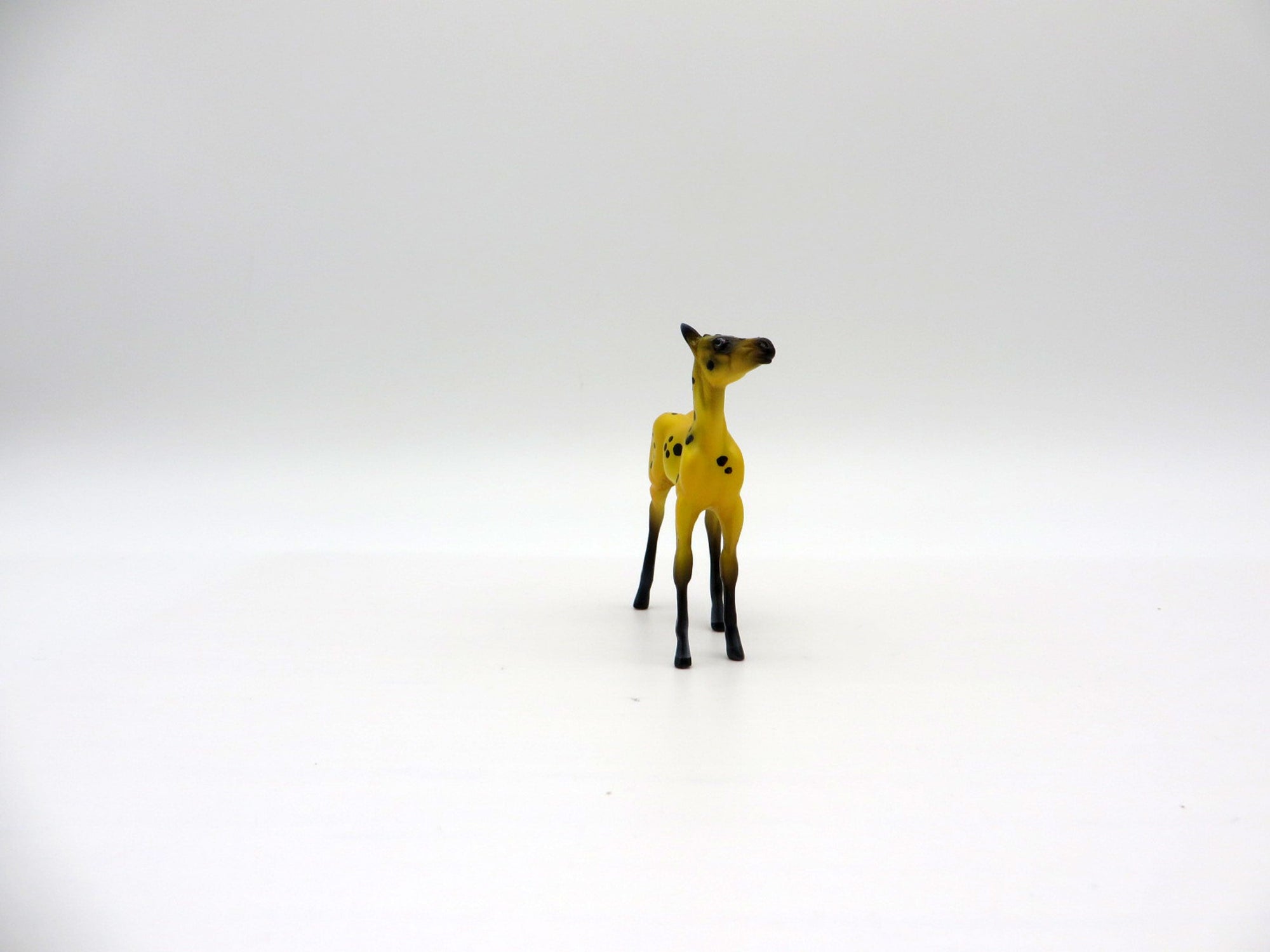 Thecacera-OOAK Foal Chip Deco Sea Slug Painted By Ellen Robbins 7/16/21