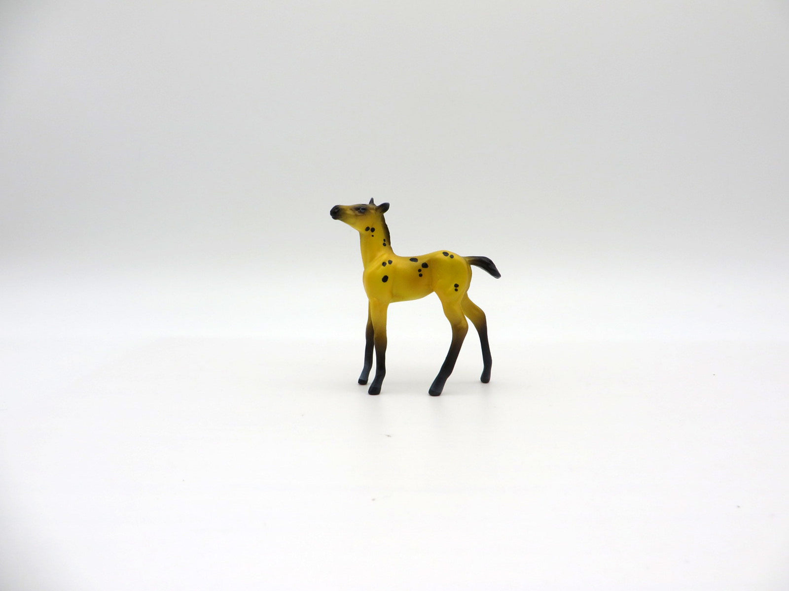 Thecacera-OOAK Foal Chip Deco Sea Slug Painted By Ellen Robbins 7/16/21