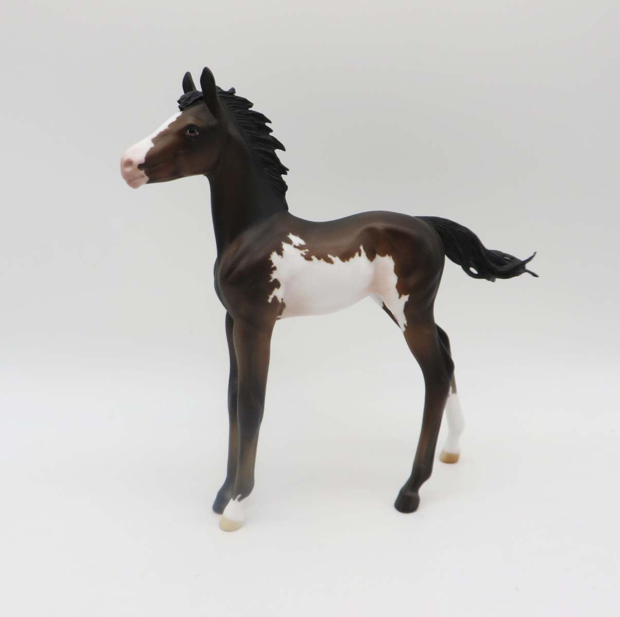 Theo - OOAK - Bay Overo Arab Foal by Julie Keim - P&C 23