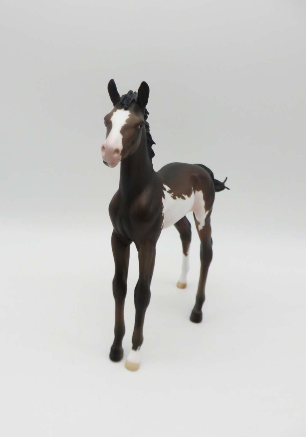 Theo - OOAK - Bay Overo Arab Foal by Julie Keim - P&amp;C 23
