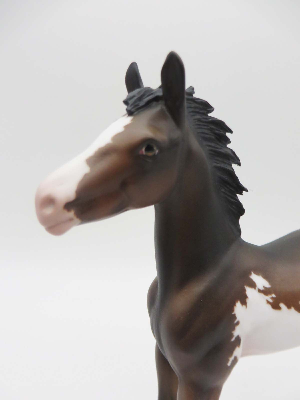 Theo - OOAK - Bay Overo Arab Foal by Julie Keim - P&amp;C 23