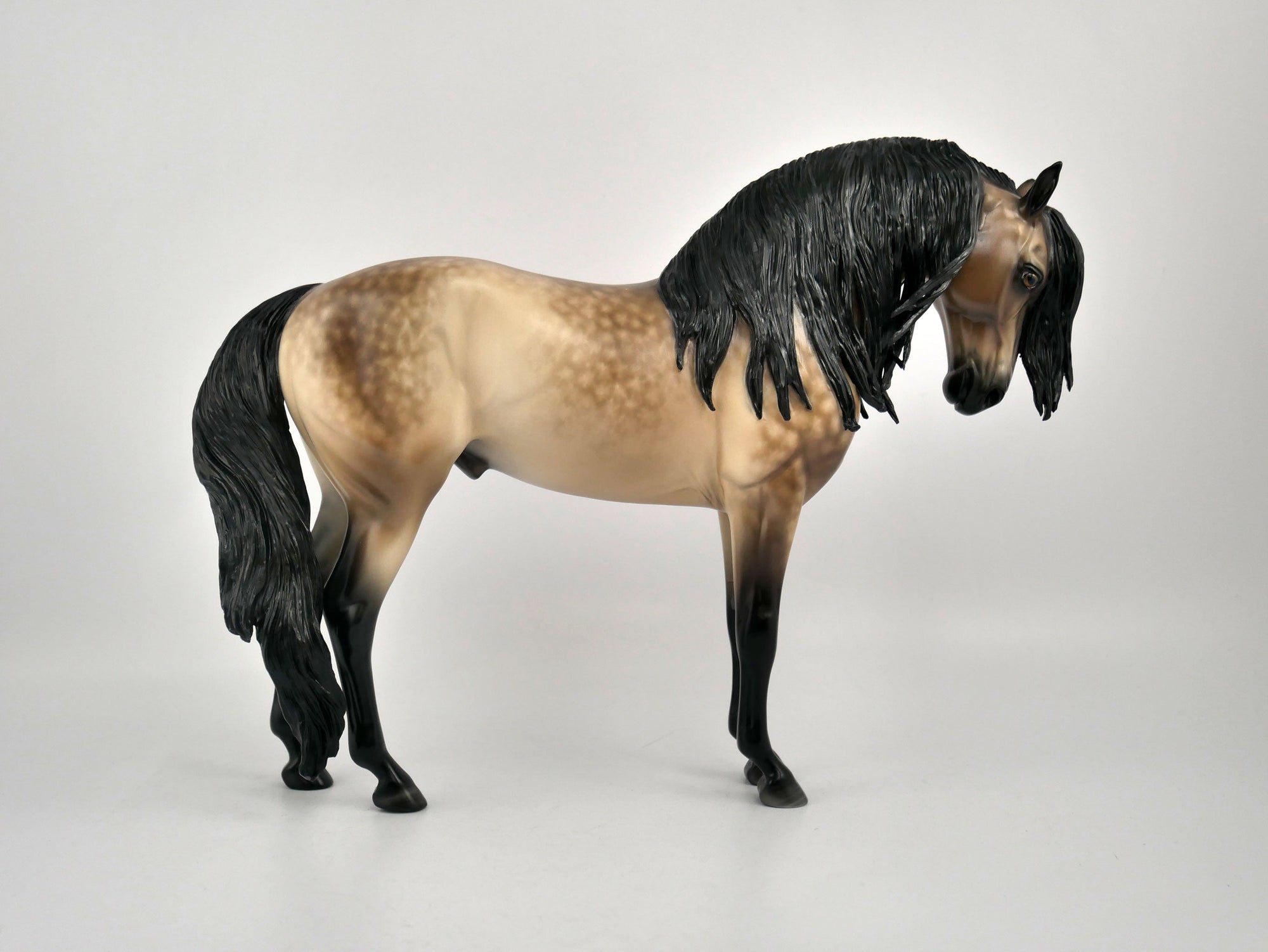 THESEUS-OOAK DAPPLE BUCKSKIN ANDY BY SHERYL LEISURE 11/17/20