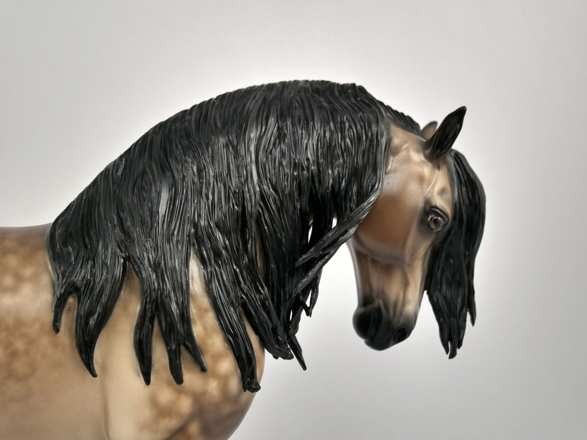 THESEUS-OOAK DAPPLE BUCKSKIN ANDY BY SHERYL LEISURE 11/17/20