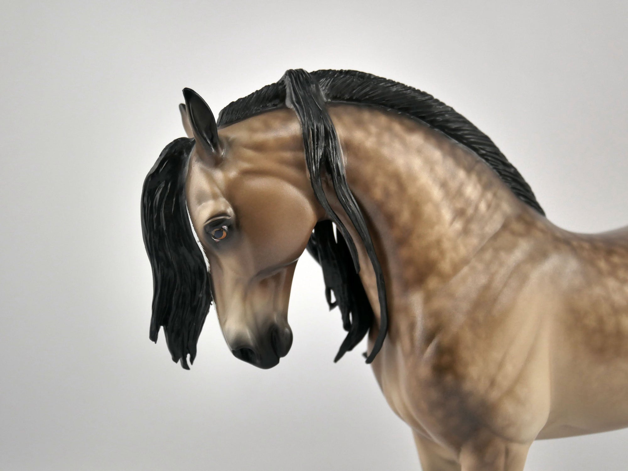 THESEUS-OOAK DAPPLE BUCKSKIN ANDY BY SHERYL LEISURE 11/17/20