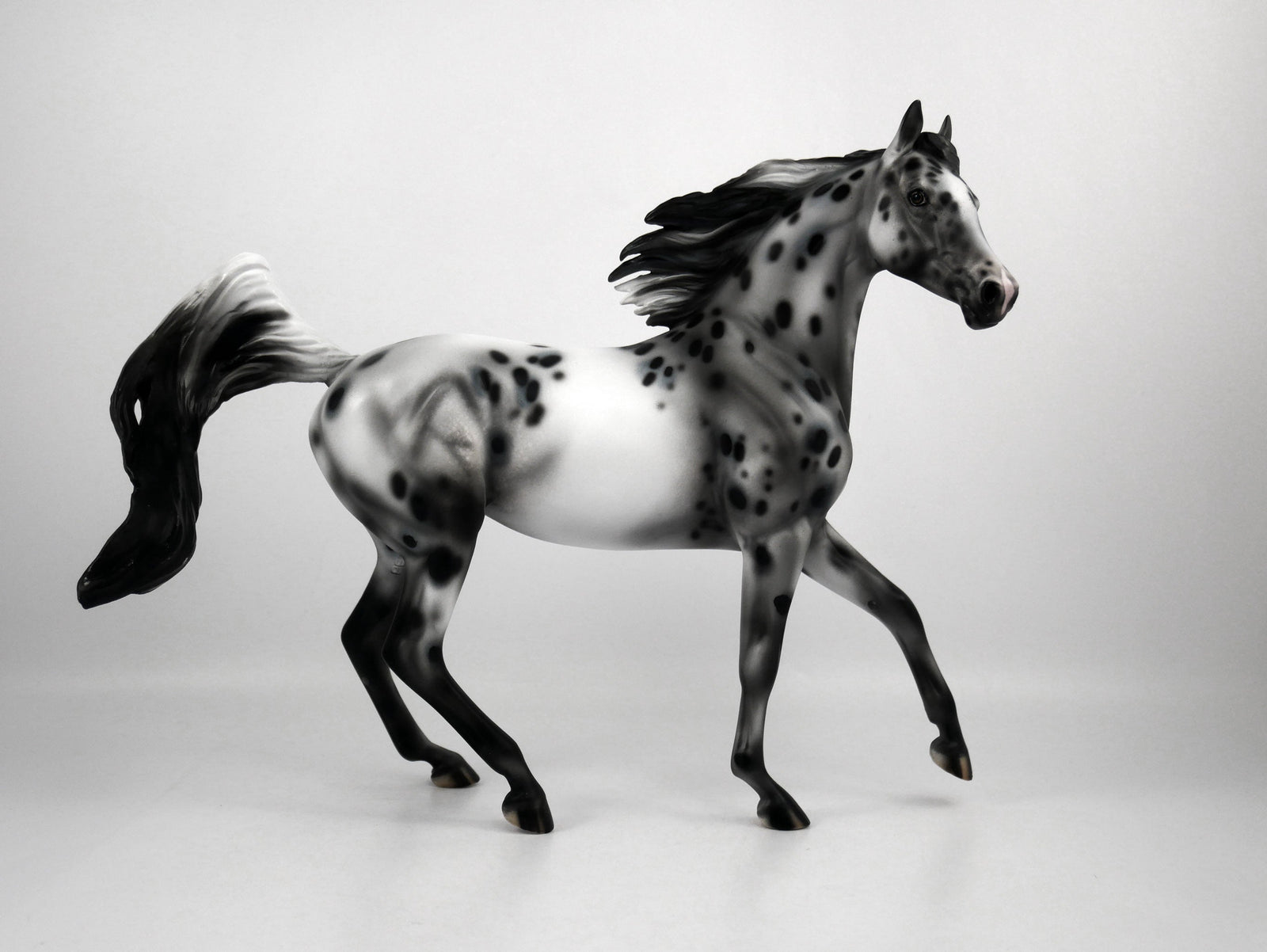 Thin Lizzy-OOAK Appaloosa Arabian 1/8/21
