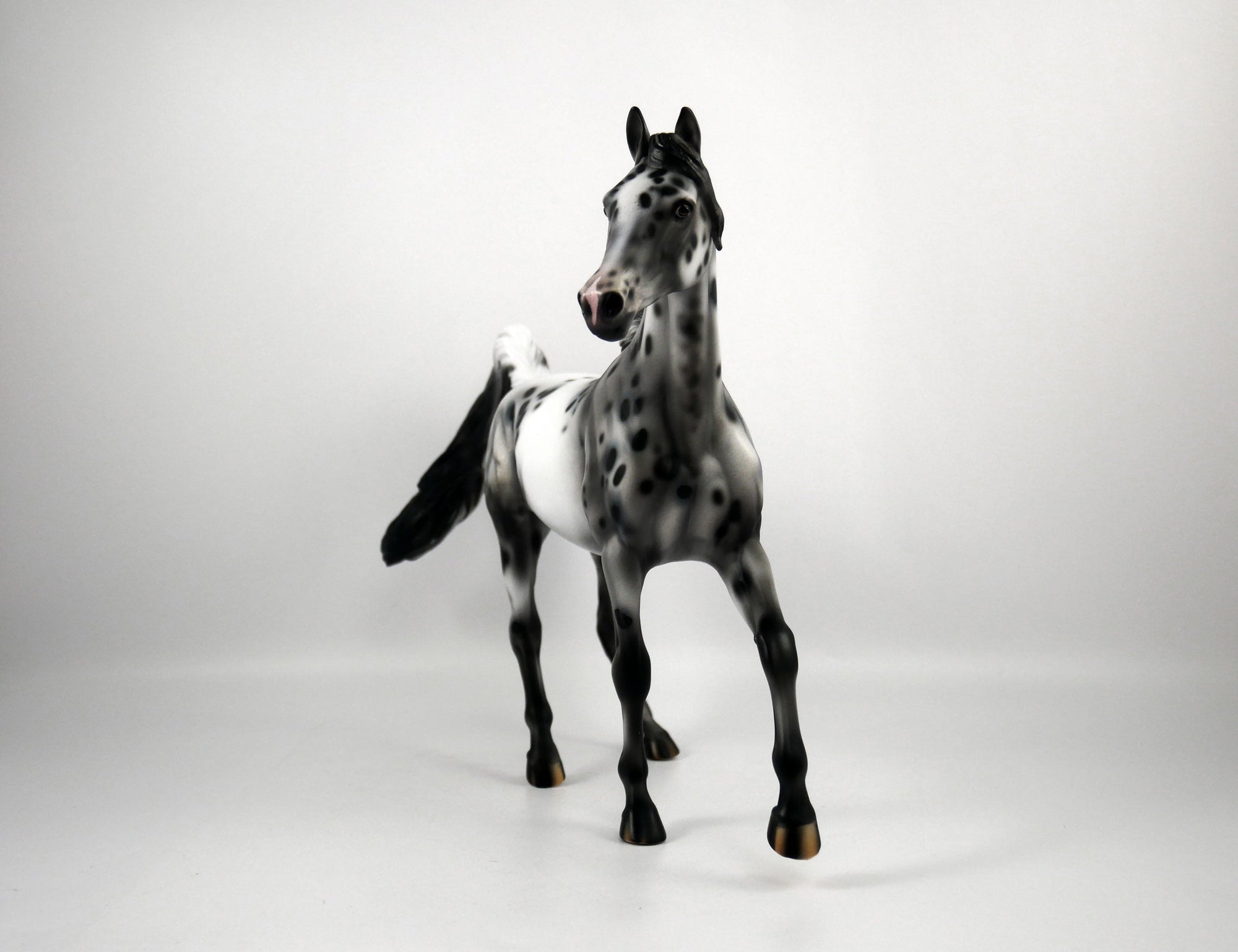 Thin Lizzy-OOAK Appaloosa Arabian 1/8/21