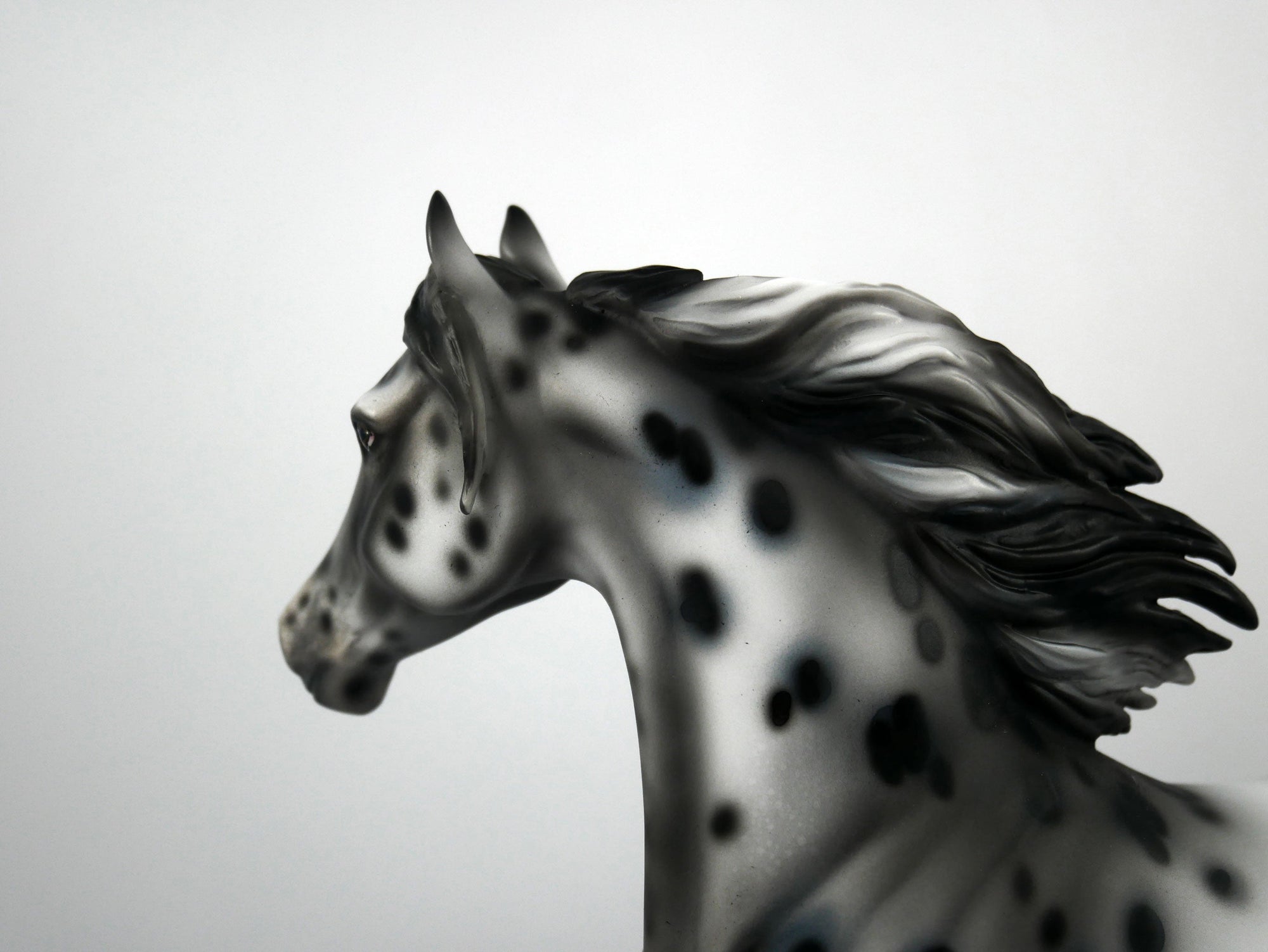 Thin Lizzy-OOAK Appaloosa Arabian 1/8/21