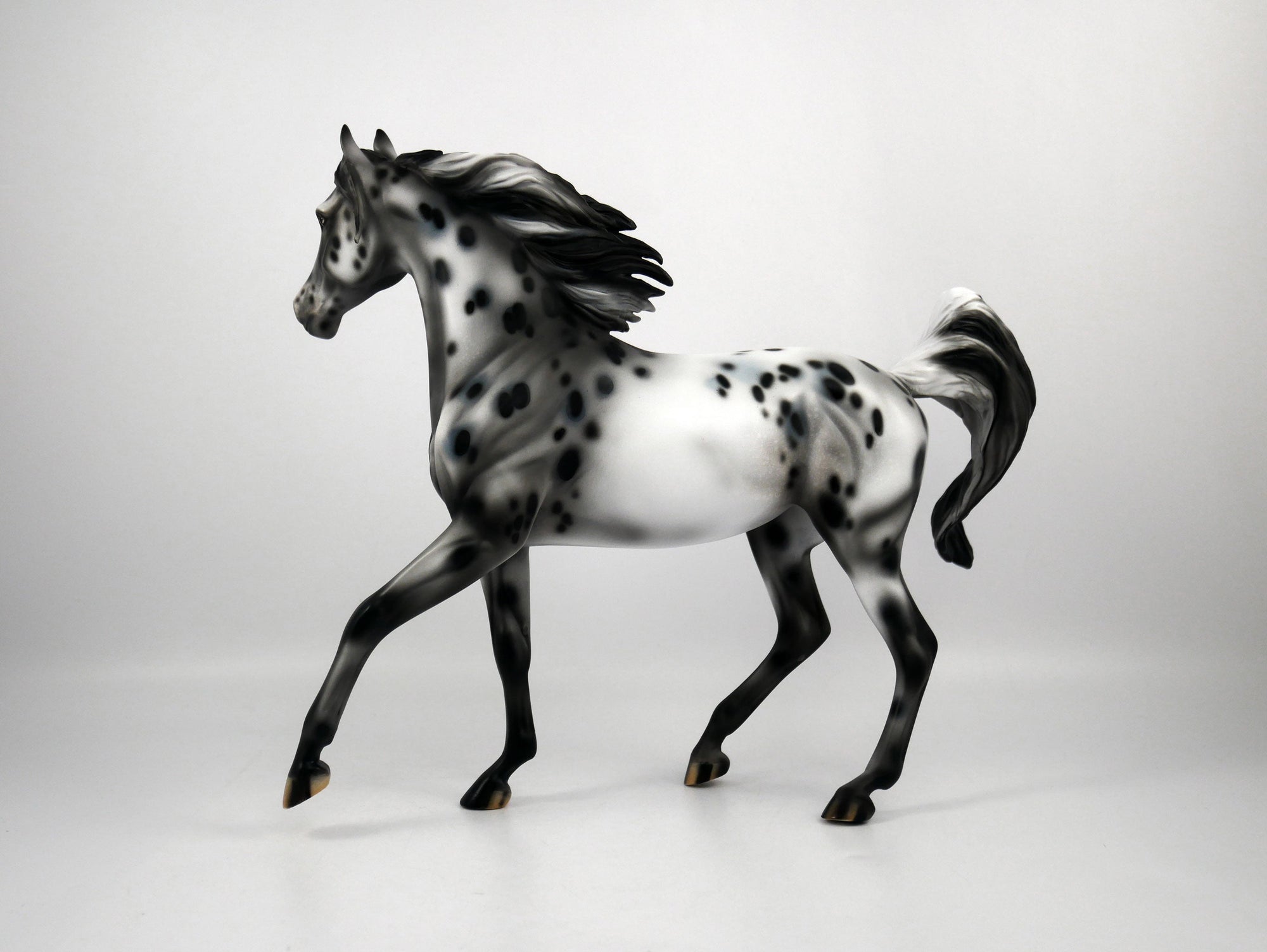 Thin Lizzy-OOAK Appaloosa Arabian 1/8/21