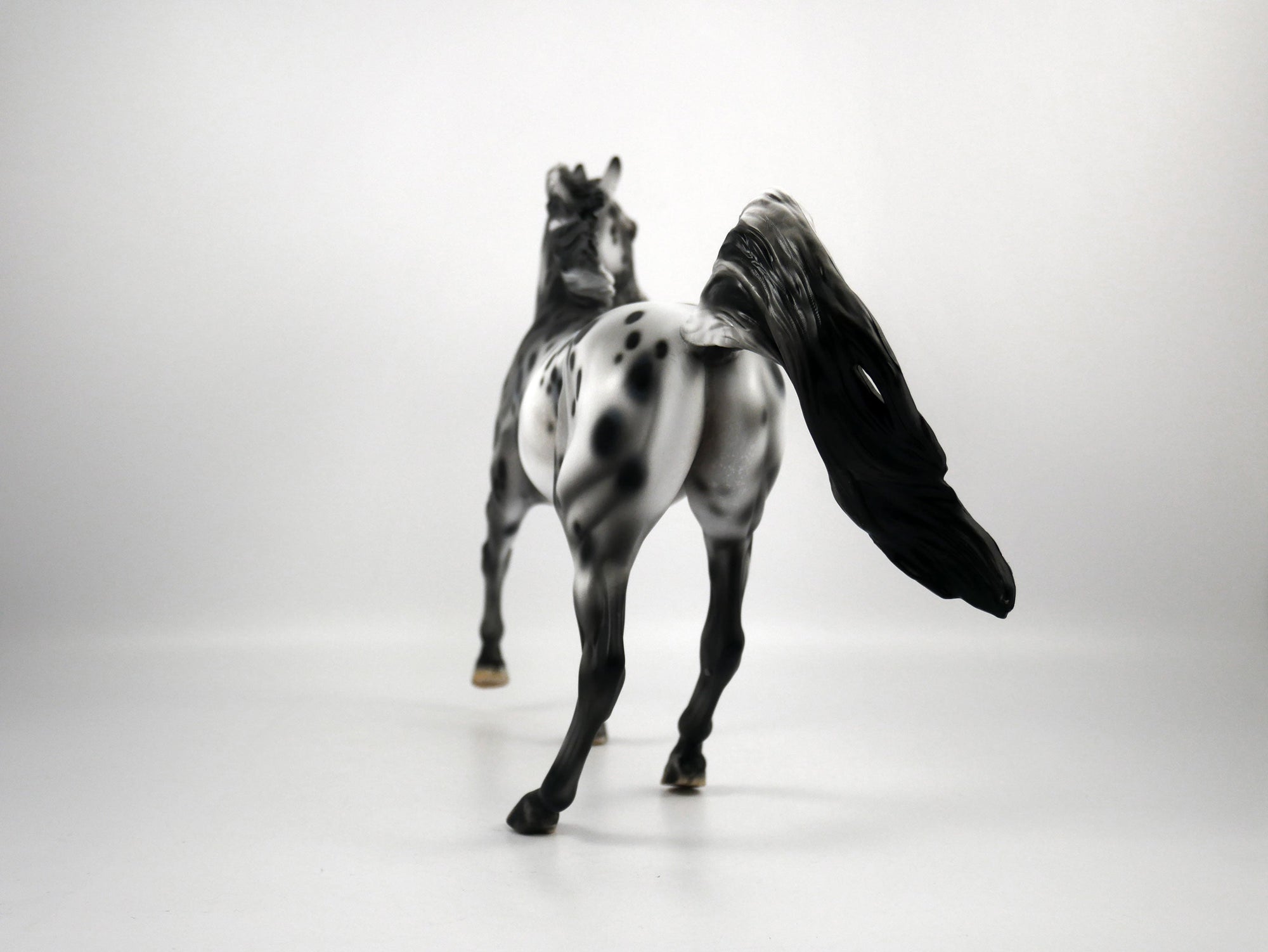 Thin Lizzy-OOAK Appaloosa Arabian 1/8/21