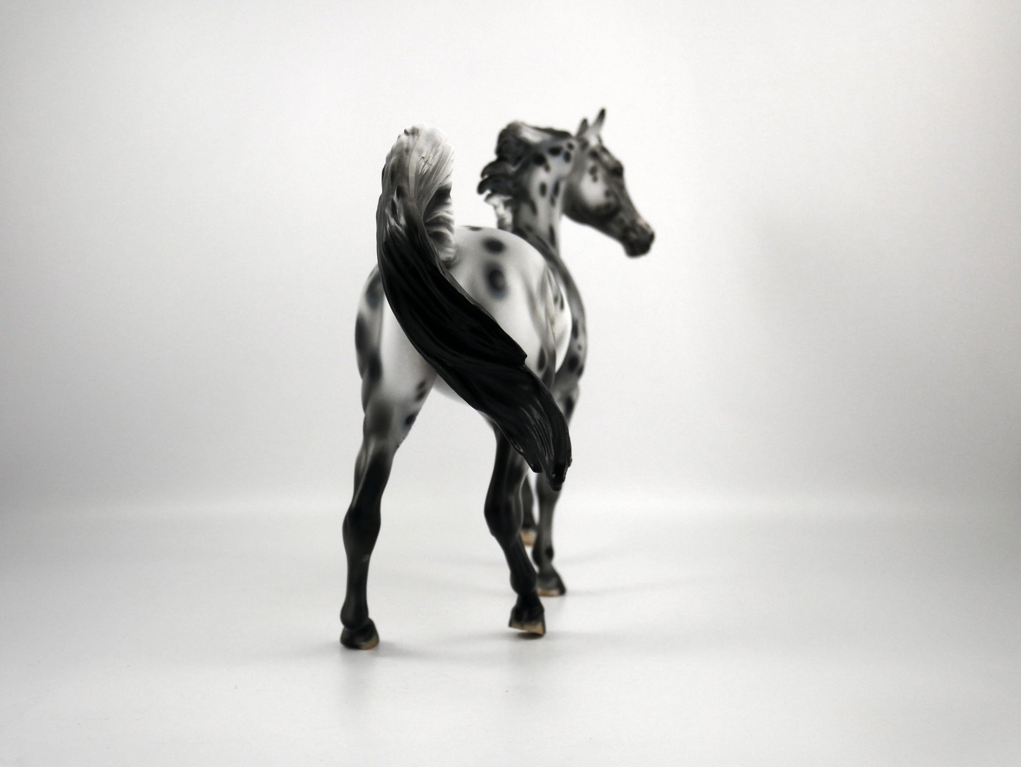 Thin Lizzy-OOAK Appaloosa Arabian 1/8/21