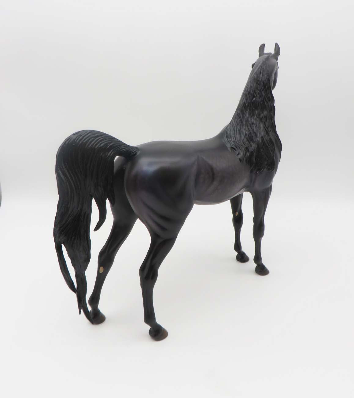 Thorne- OOAK -Dapple Black Arabian- By Caroline Boydston Best Offer 3/27/23