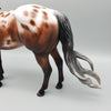 Throw Caution To The Wind OOAK Bay Appaloosa Ideal Stock Horse By Jess Hamill Best Offers 6/12/23