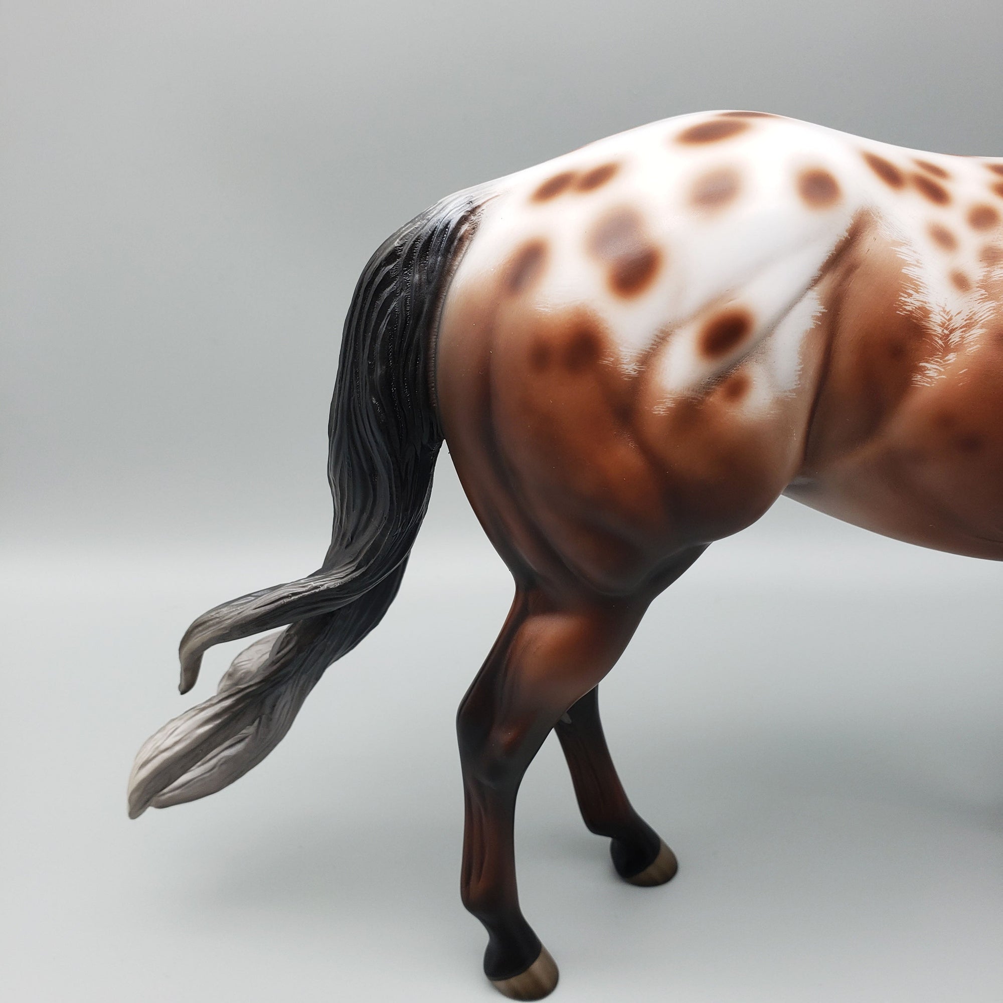 Throw Caution To The Wind OOAK Bay Appaloosa Ideal Stock Horse By Jess Hamill Best Offers 6/12/23