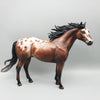 Throw Caution To The Wind OOAK Bay Appaloosa Ideal Stock Horse By Jess Hamill Best Offers 6/12/23