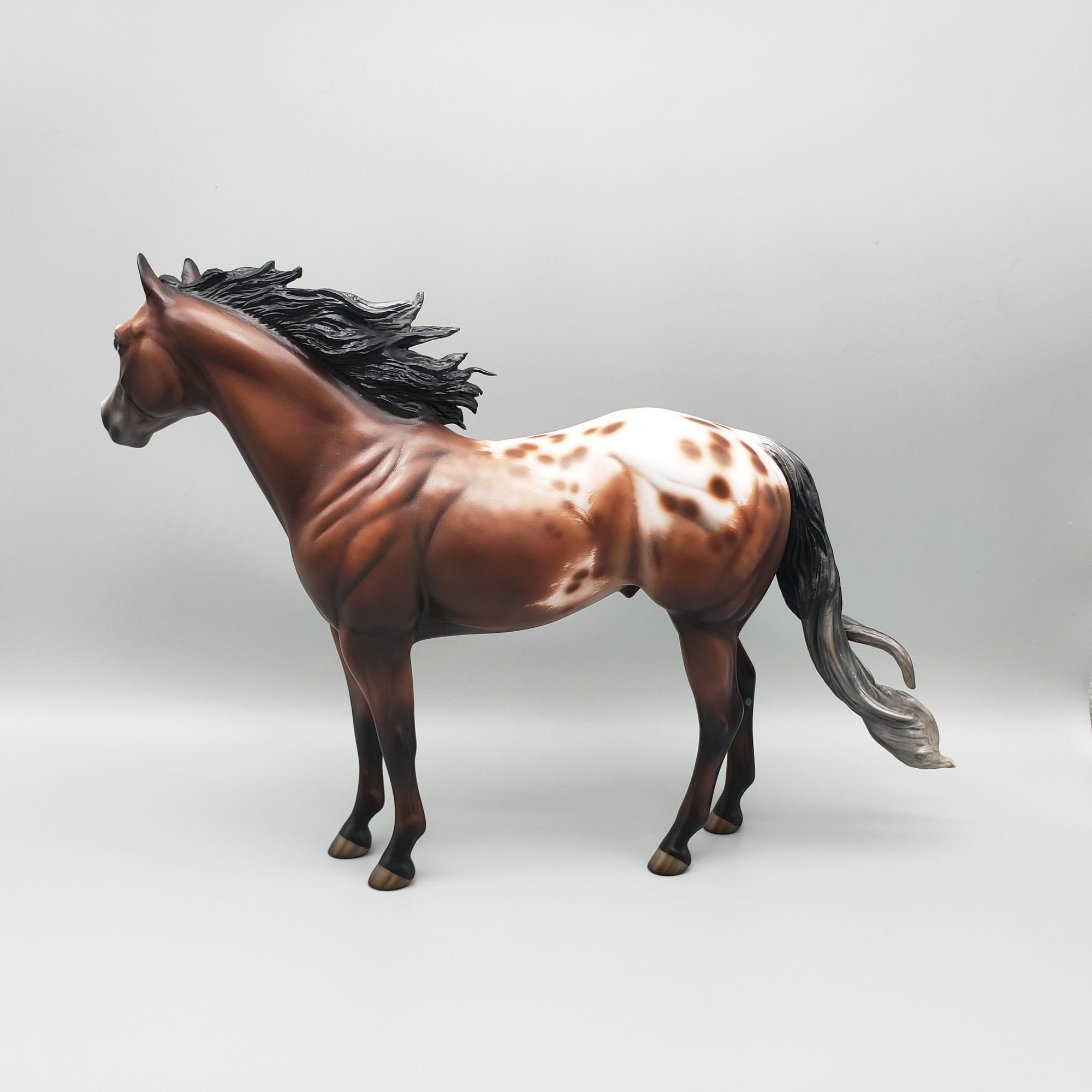 Throw Caution To The Wind OOAK Bay Appaloosa Ideal Stock Horse By Jess Hamill Best Offers 6/12/23