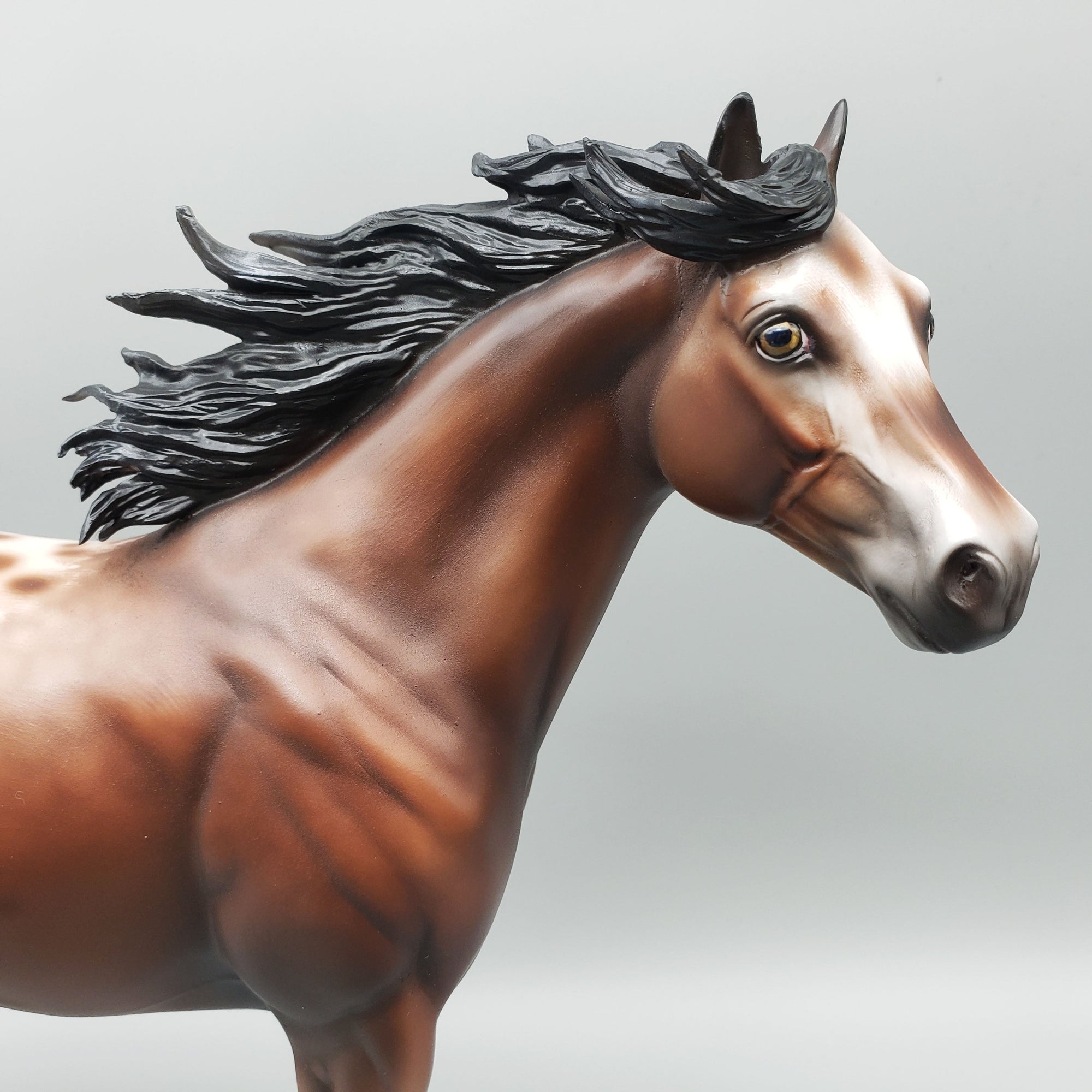 Throw Caution To The Wind OOAK Bay Appaloosa Ideal Stock Horse By Jess Hamill Best Offers 6/12/23