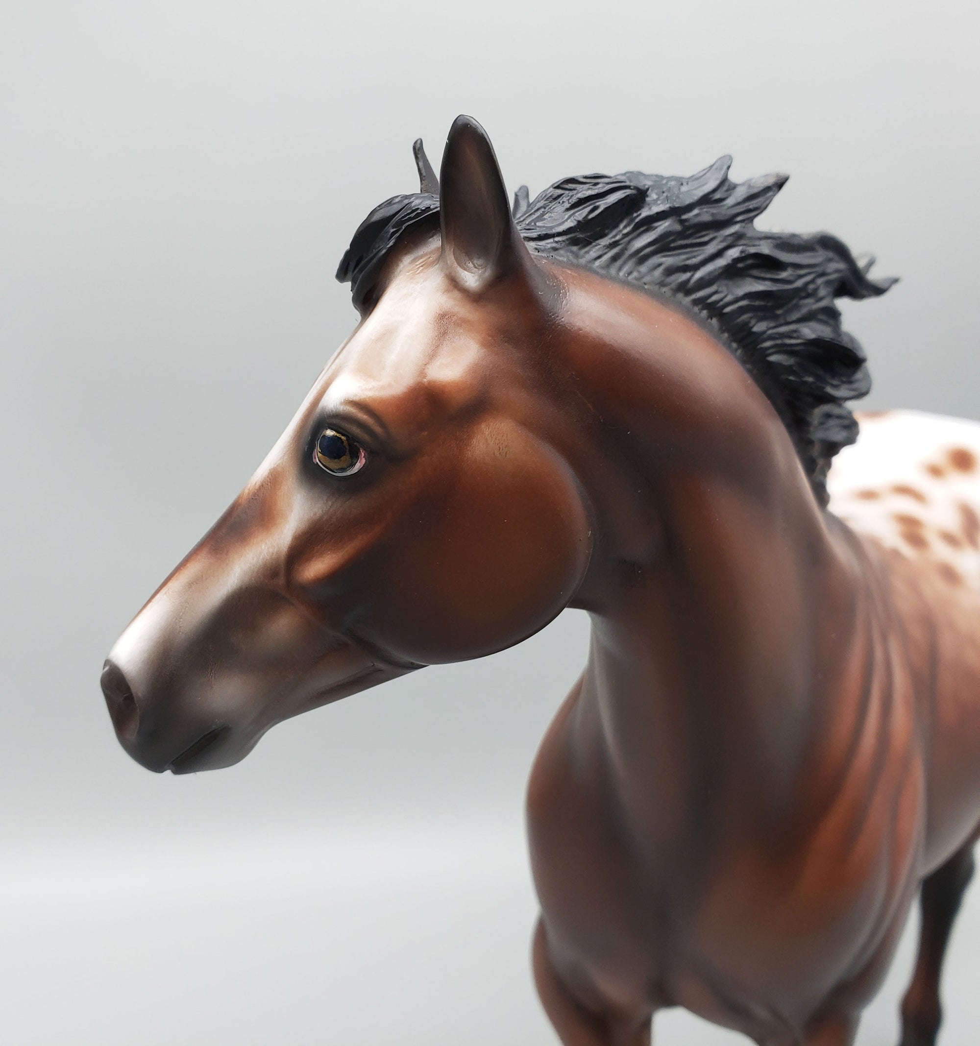 Throw Caution To The Wind OOAK Bay Appaloosa Ideal Stock Horse By Jess Hamill Best Offers 6/12/23