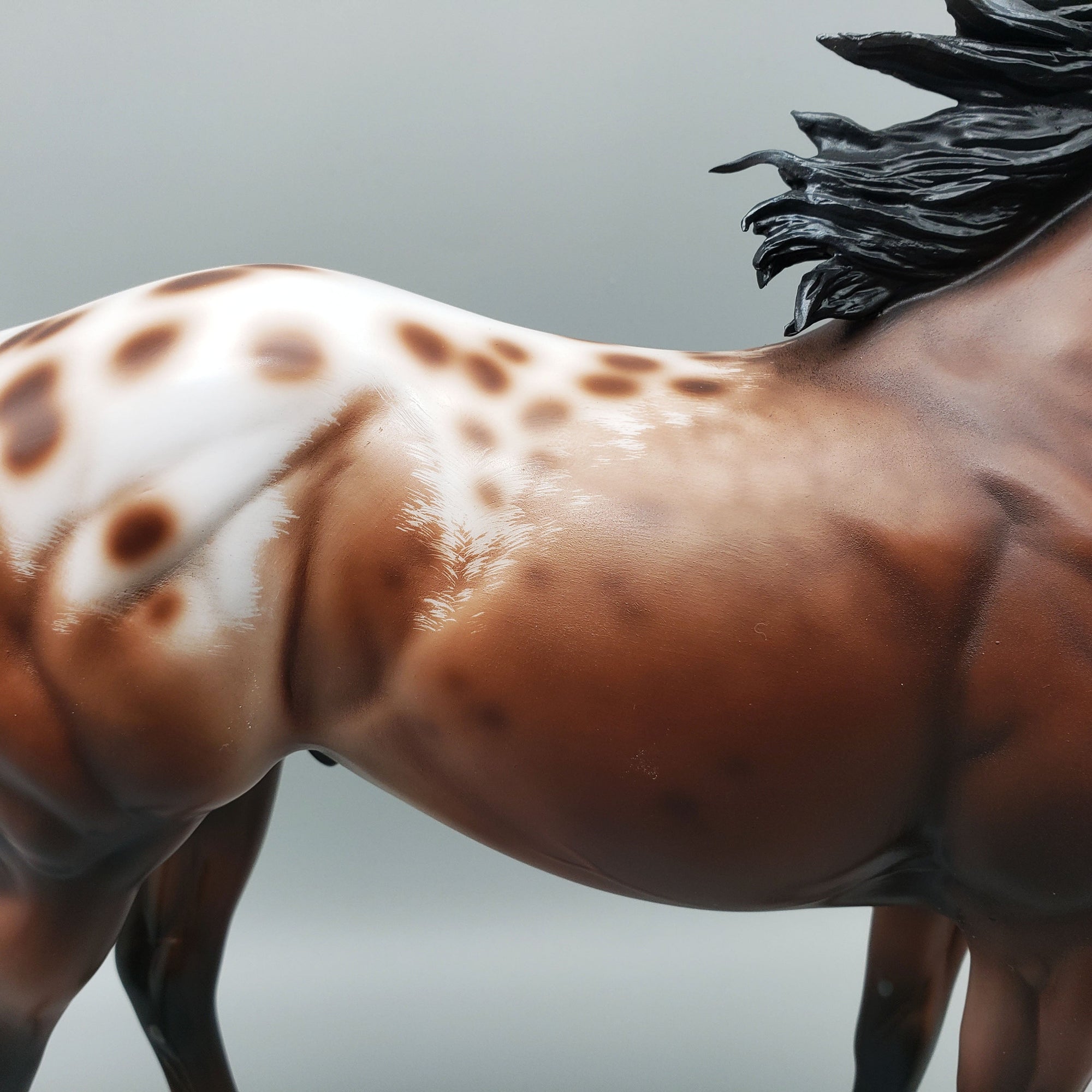 Throw Caution To The Wind OOAK Bay Appaloosa Ideal Stock Horse By Jess Hamill Best Offers 6/12/23