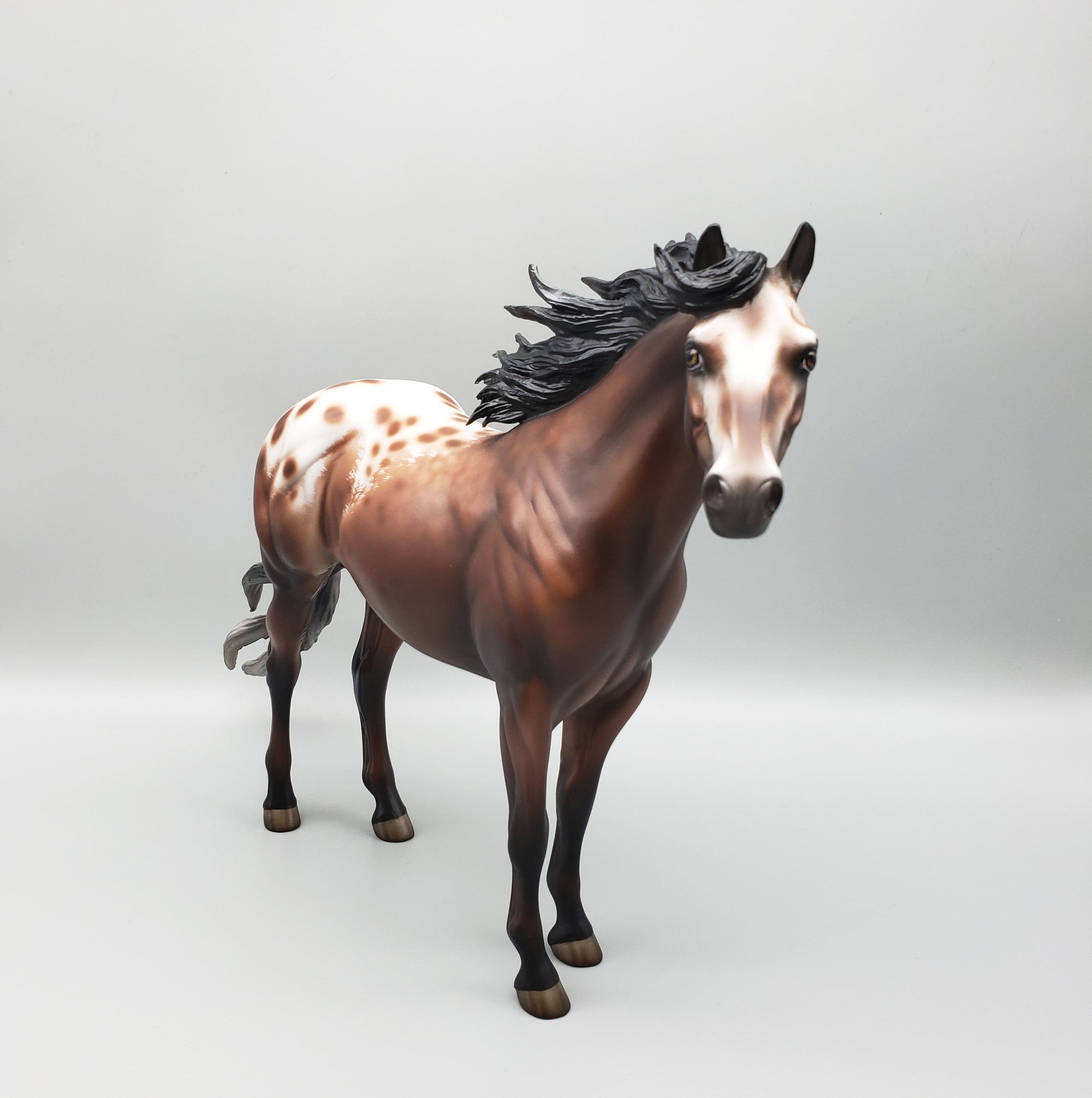 Throw Caution To The Wind OOAK Bay Appaloosa Ideal Stock Horse By Jess Hamill Best Offers 6/12/23