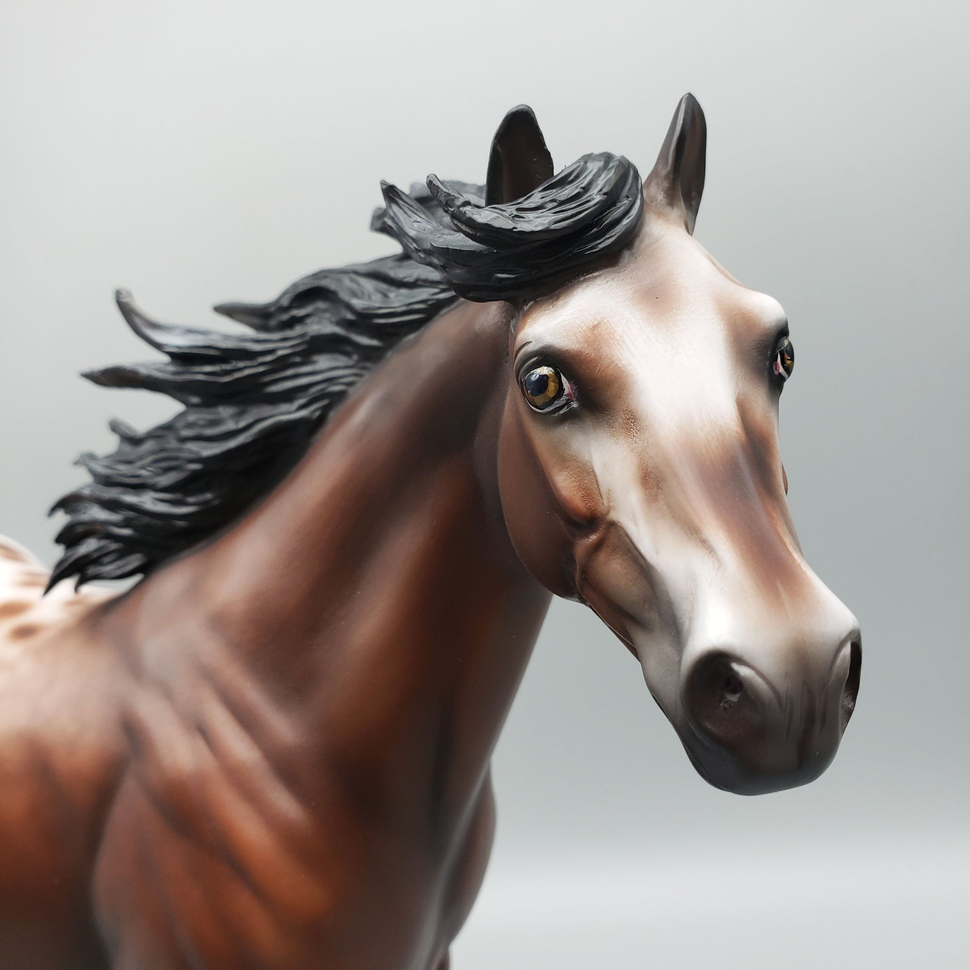 Throw Caution To The Wind OOAK Bay Appaloosa Ideal Stock Horse By Jess Hamill Best Offers 6/12/23