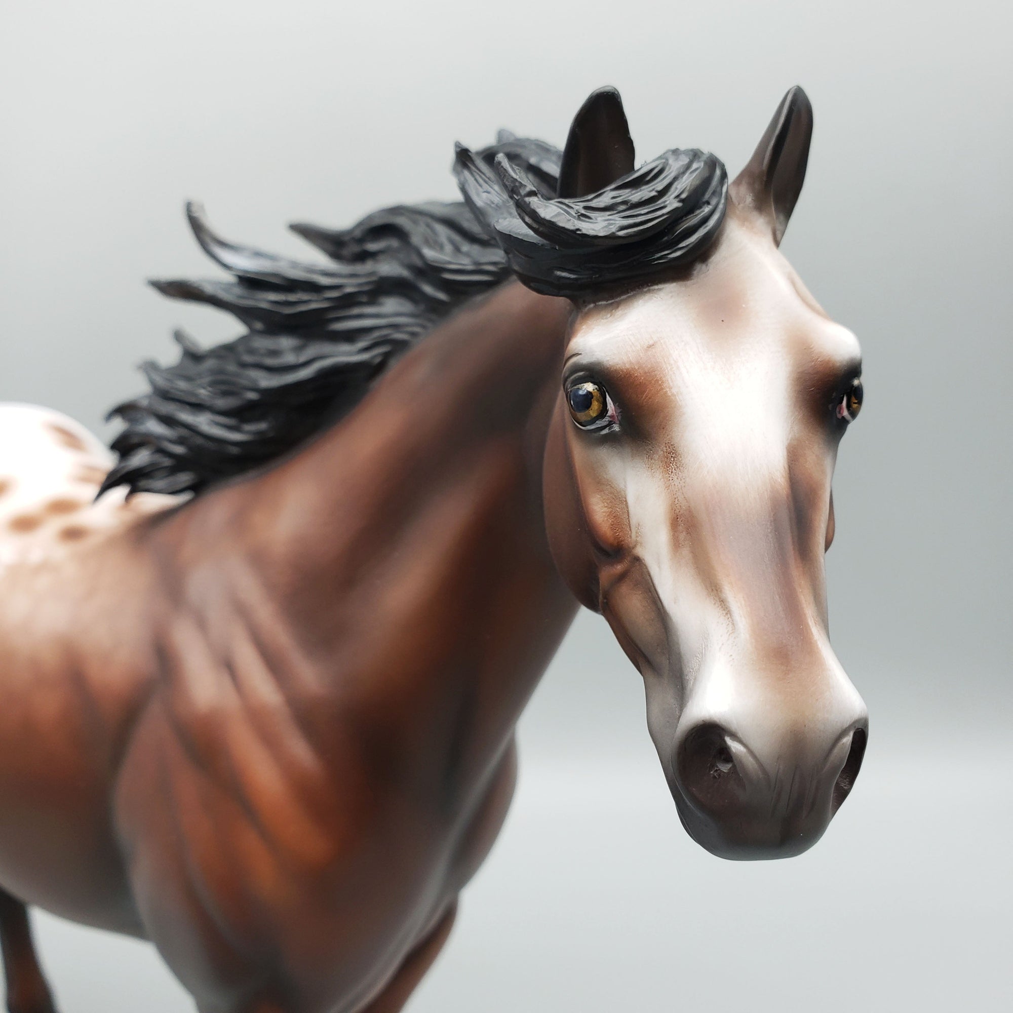 Throw Caution To The Wind OOAK Bay Appaloosa Ideal Stock Horse By Jess Hamill Best Offers 6/12/23