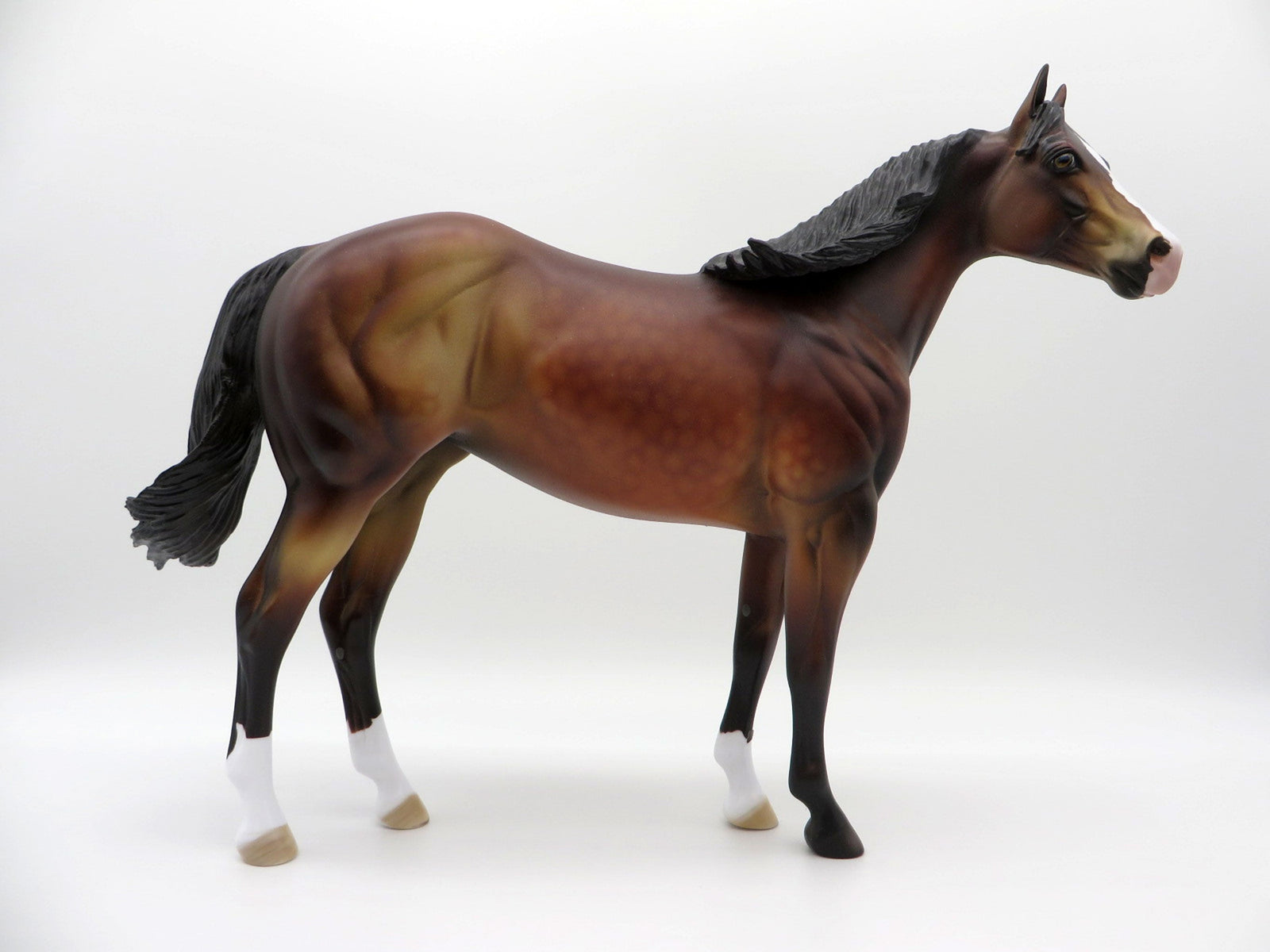 Thunder Cloud-OOAK ISH Dapple Bay SHCF 2021