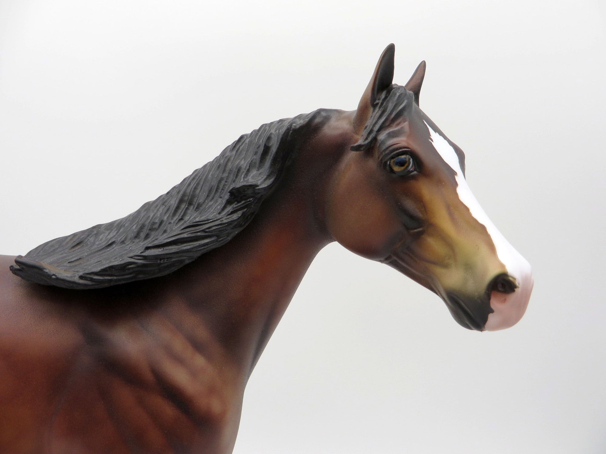 Thunder Cloud-OOAK ISH Dapple Bay SHCF 2021