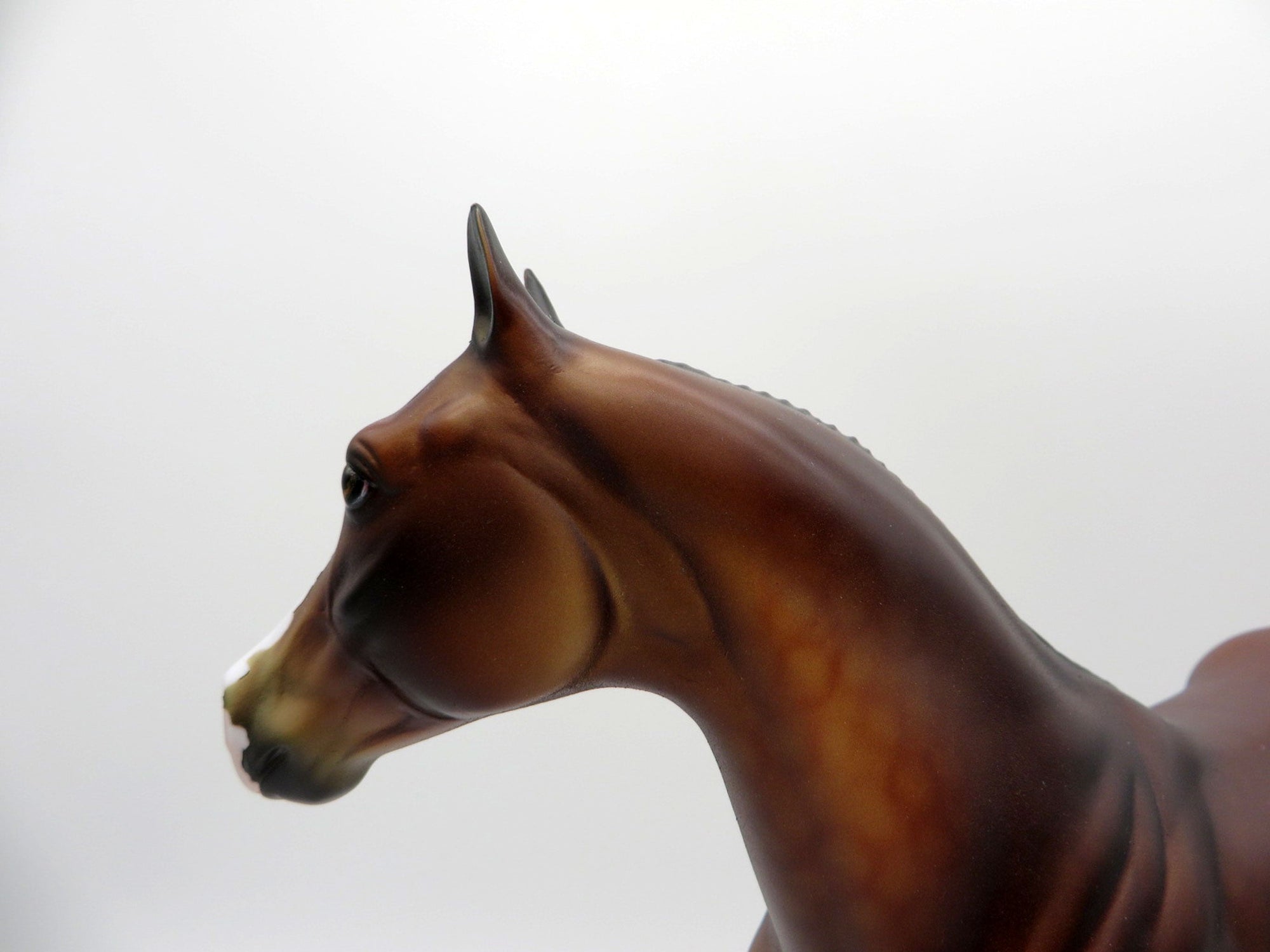 Thunder Cloud-OOAK ISH Dapple Bay SHCF 2021