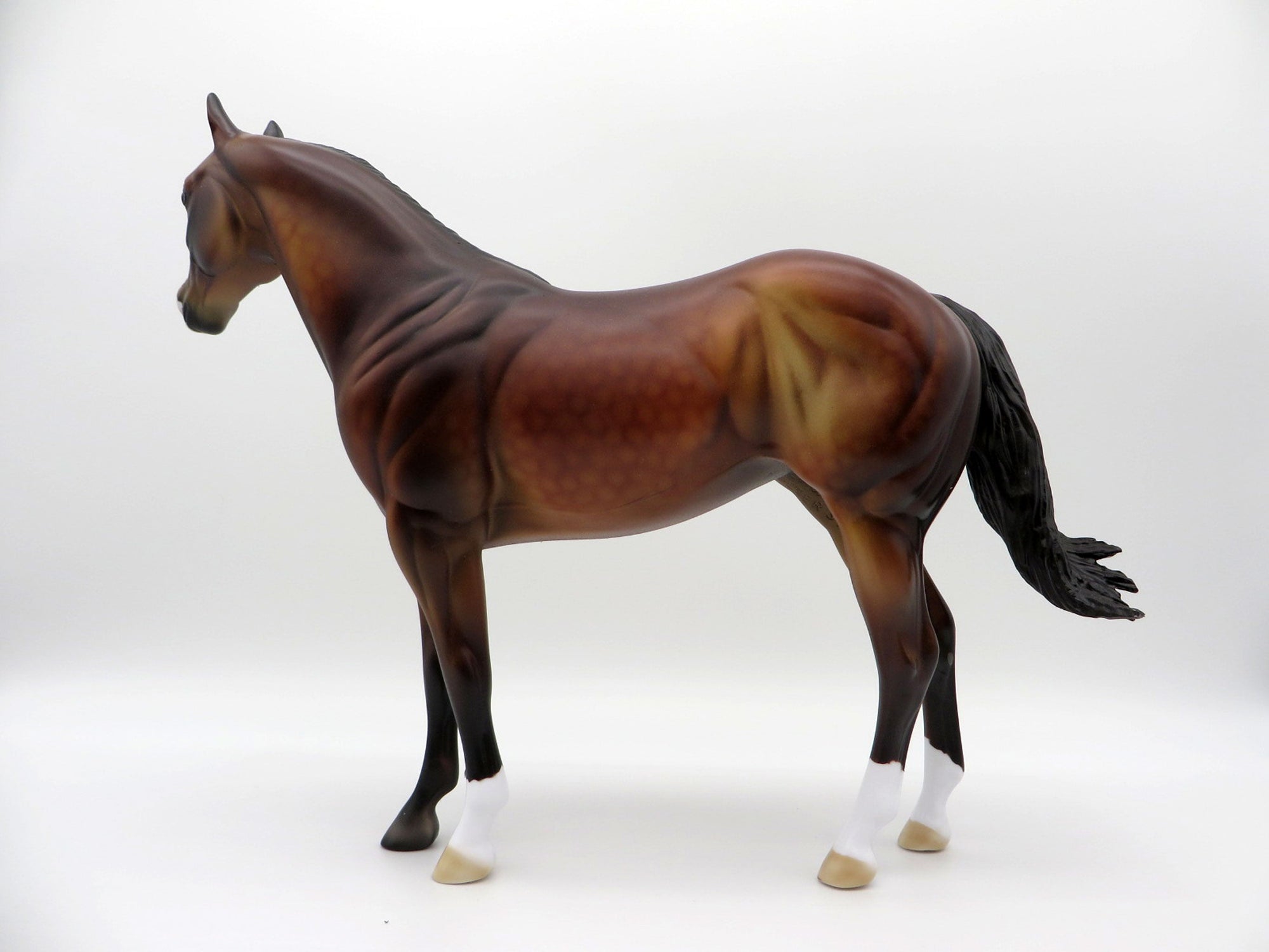 Thunder Cloud-OOAK ISH Dapple Bay SHCF 2021