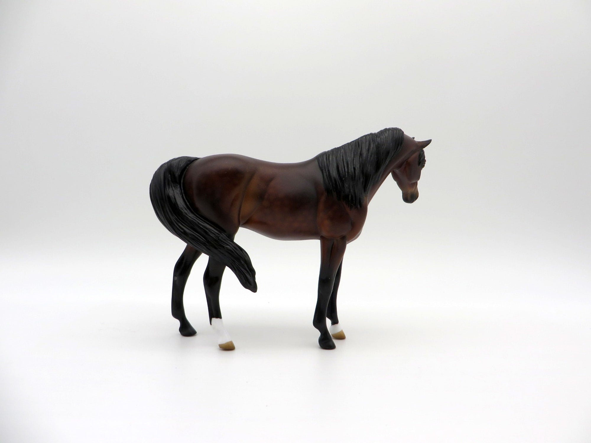 Thunder-OOAK Bay Pebbles Arabian  SHCF 2021