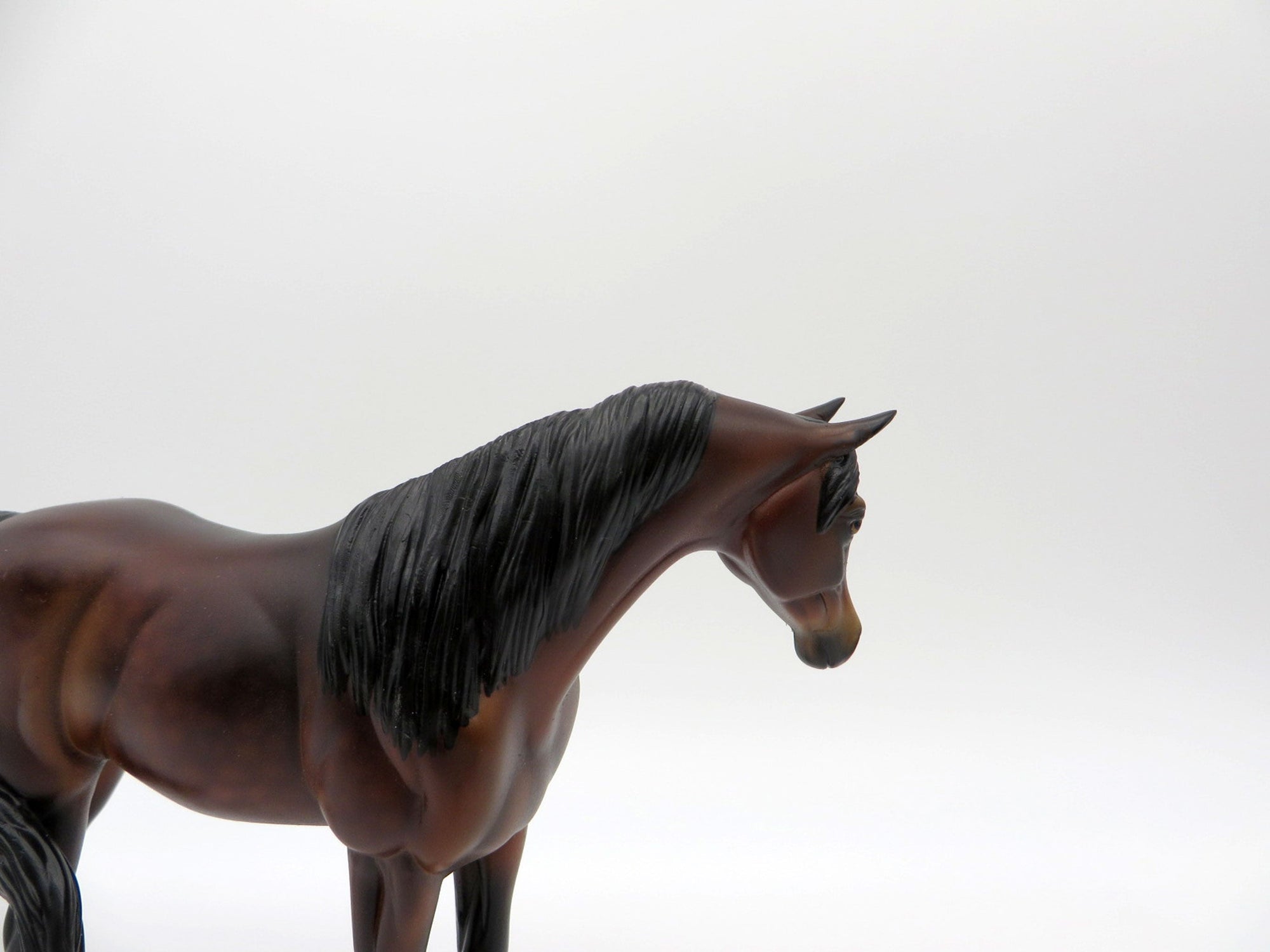 Thunder-OOAK Bay Pebbles Arabian  SHCF 2021